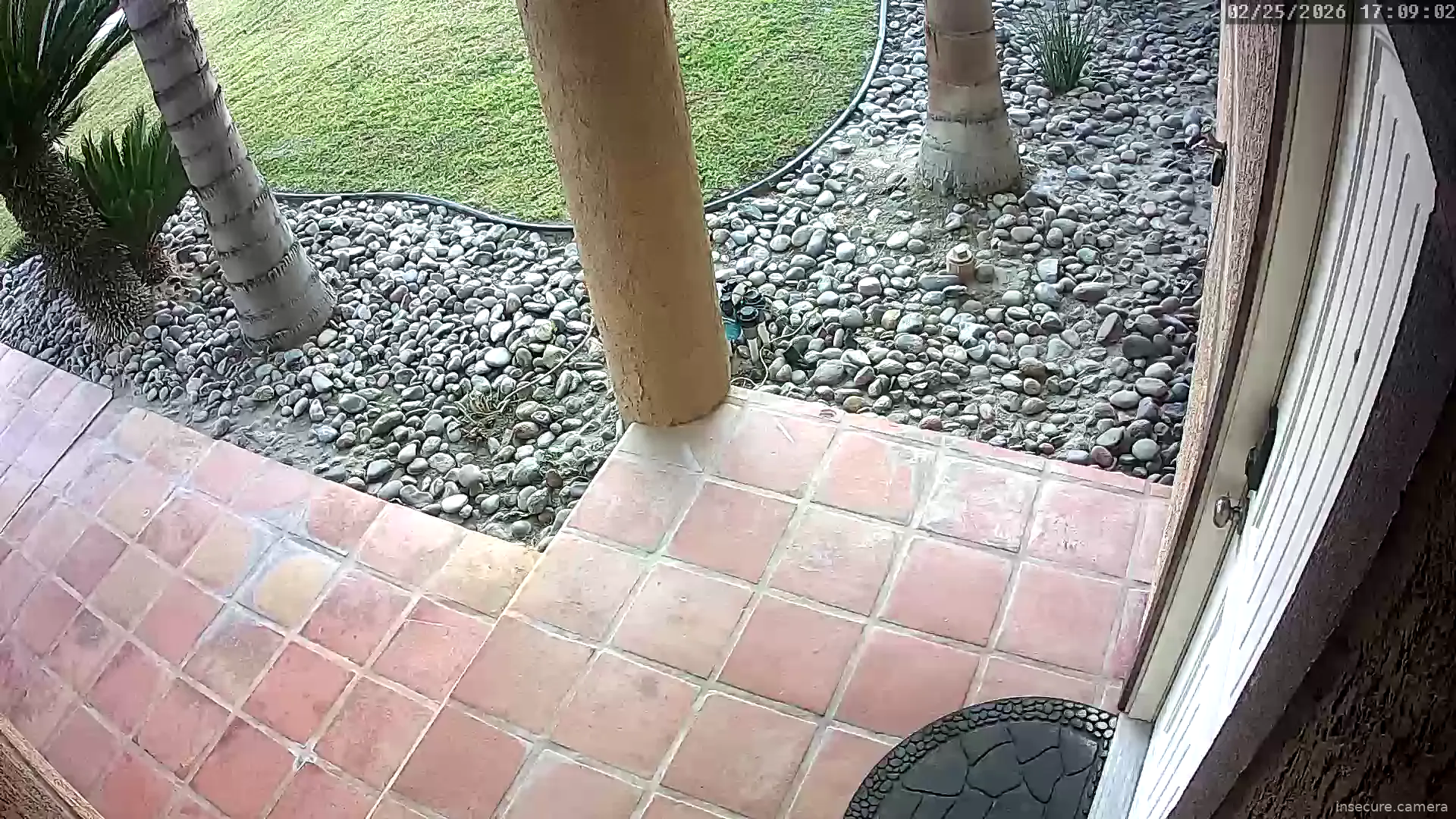 Capture from Feb 26, 2026 at 01:09 AM