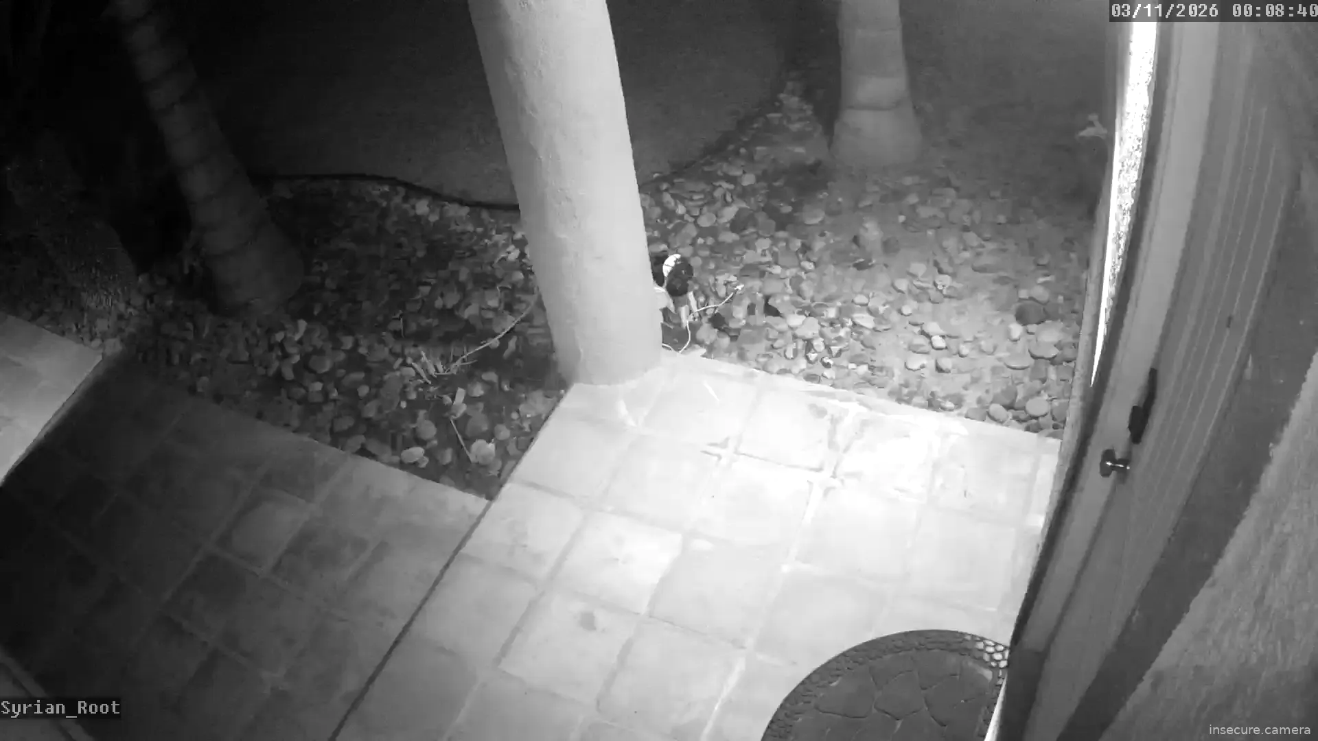 Camera in United States