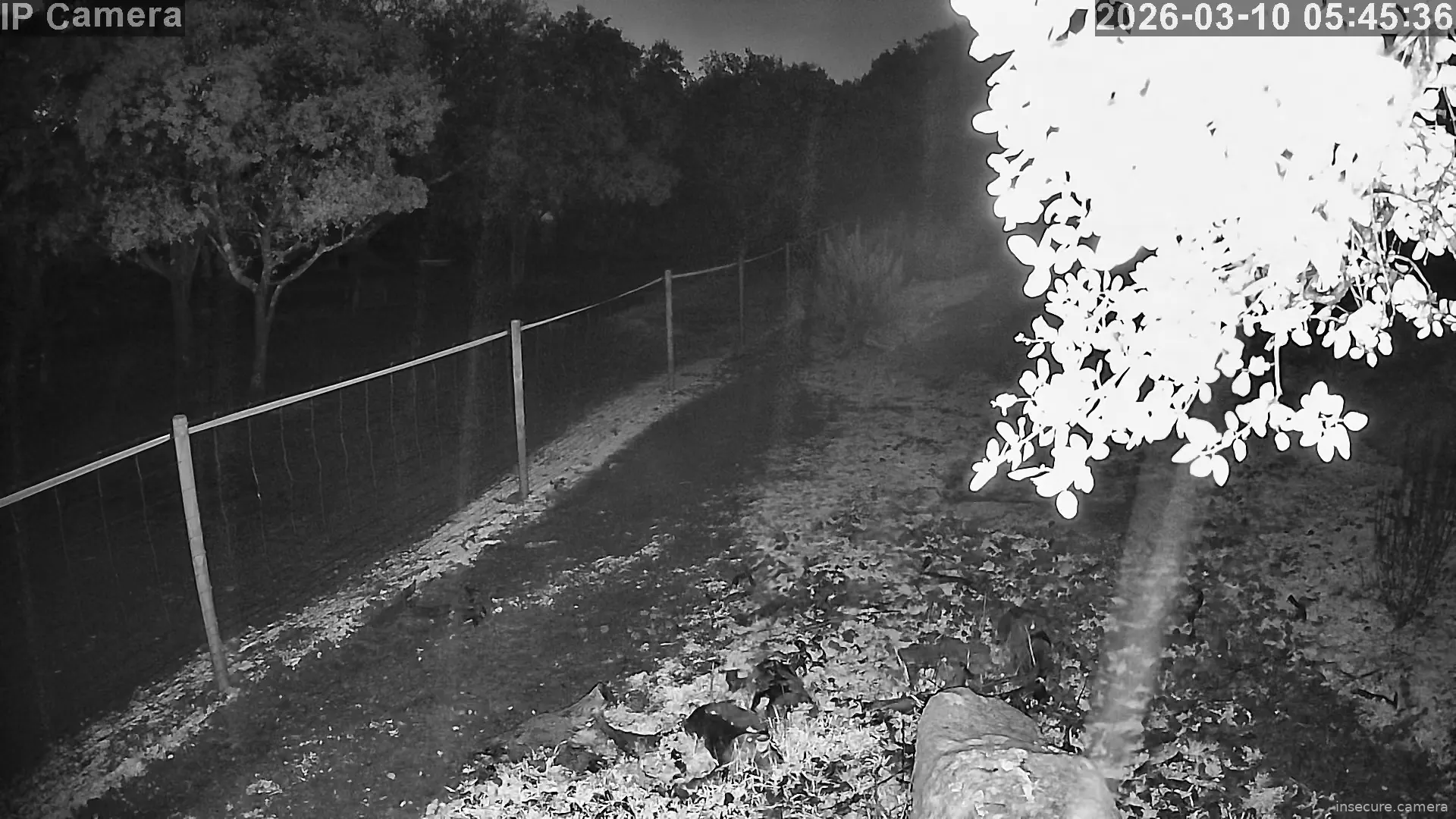 Capture from Mar 10, 2026 at 04:45 AM