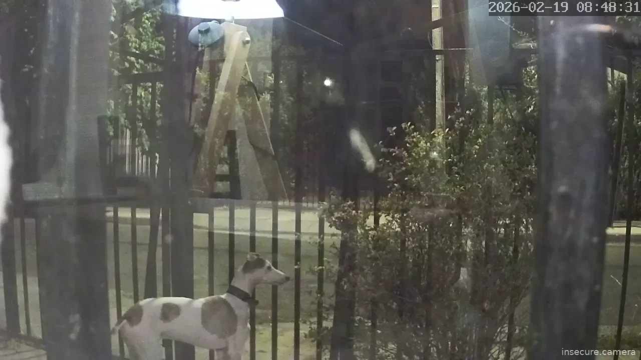 Capture from Feb 19, 2026 at 12:48 AM