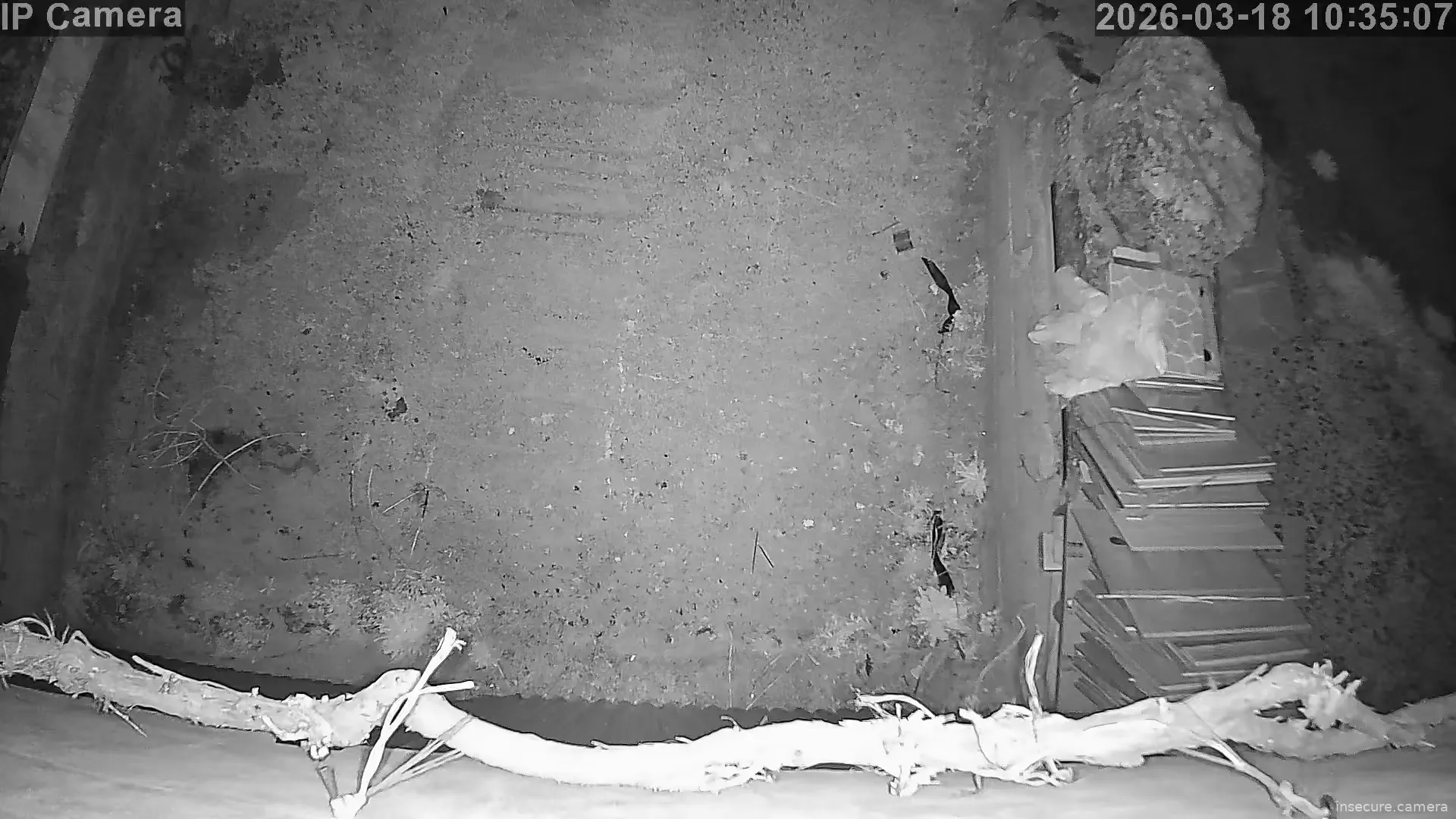 Capture from Mar 18, 2026 at 02:35 AM