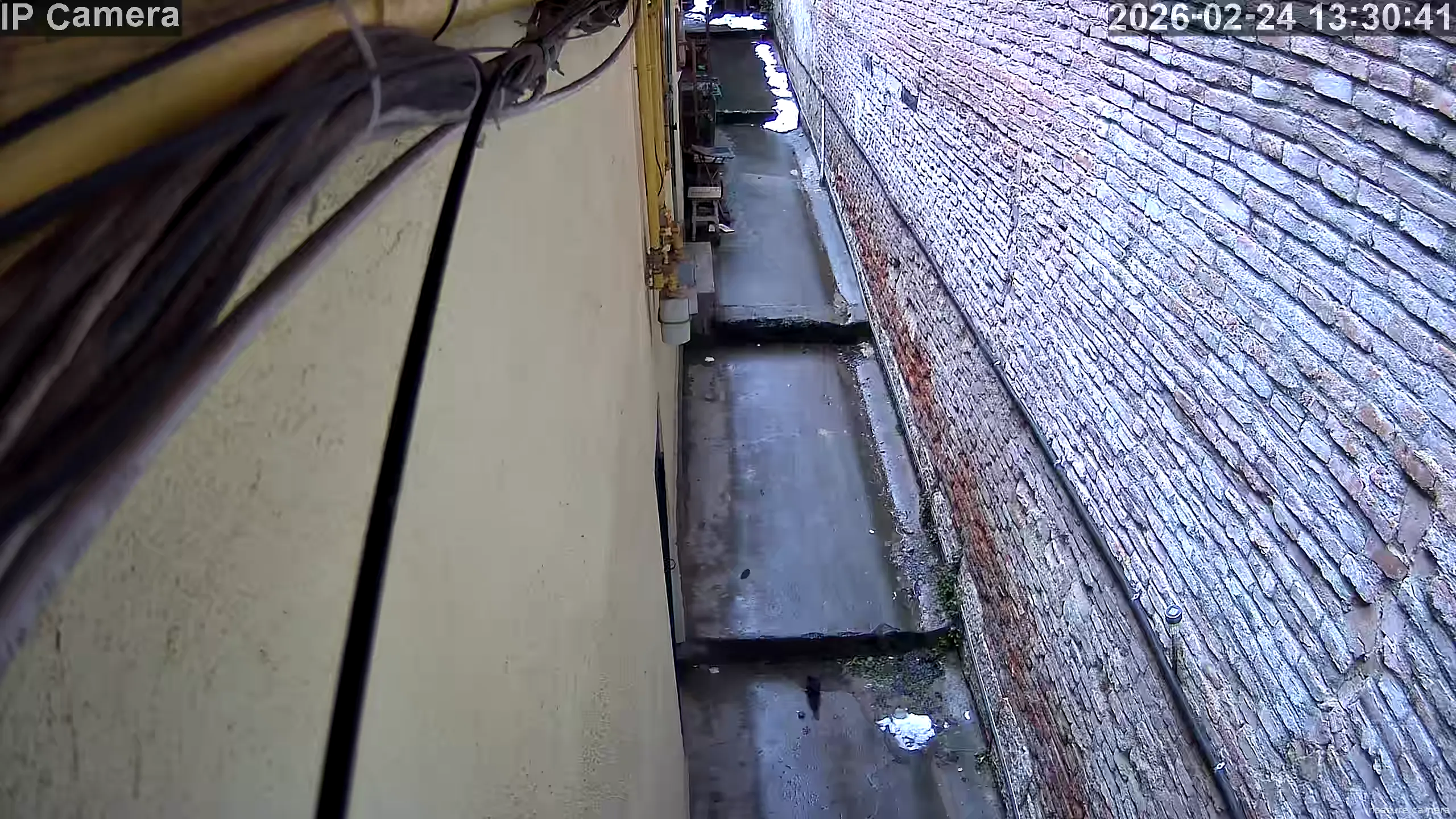 Capture from Feb 24, 2026 at 11:31 AM