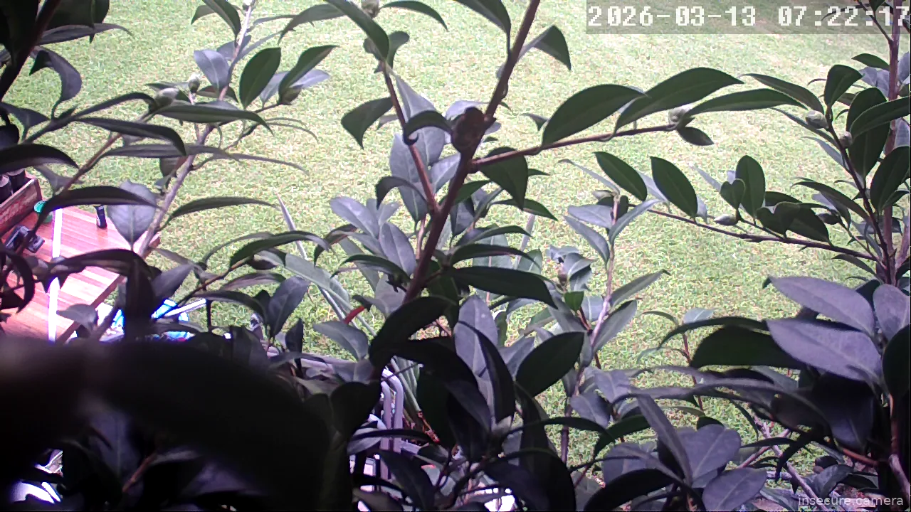 Capture from Mar 13, 2026 at 05:22 AM