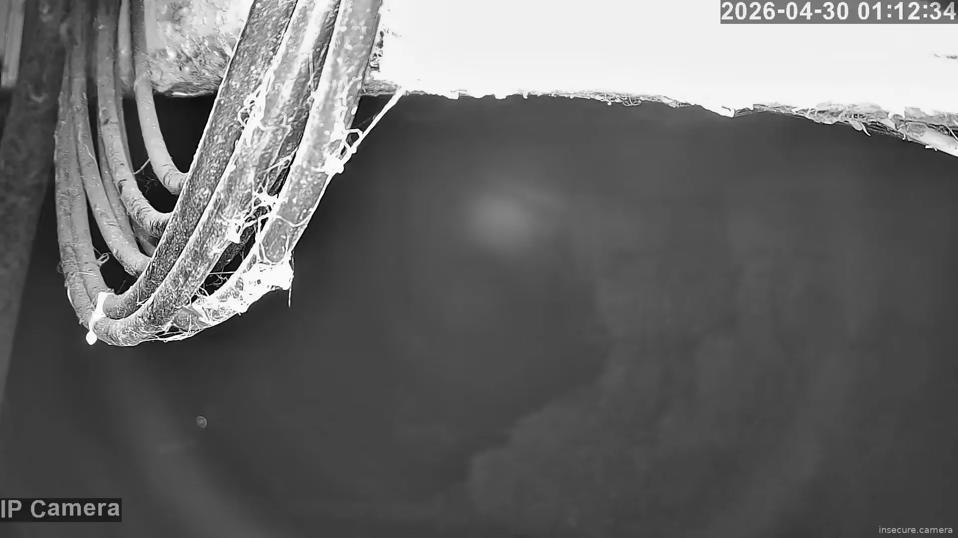 Capture from Apr 30, 2026 at 12:12 AM