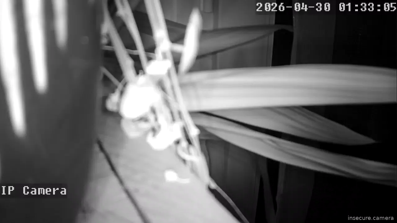 Capture from Apr 29, 2026 at 11:33 PM