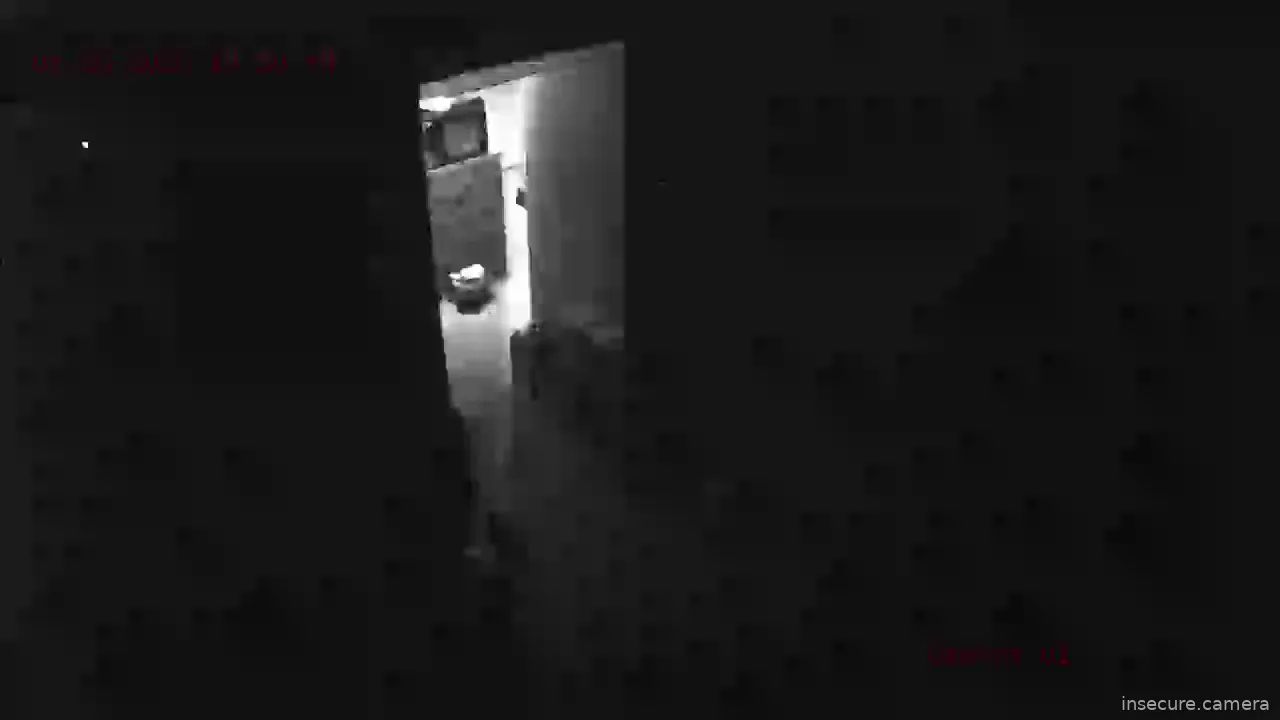 Camera in Russia