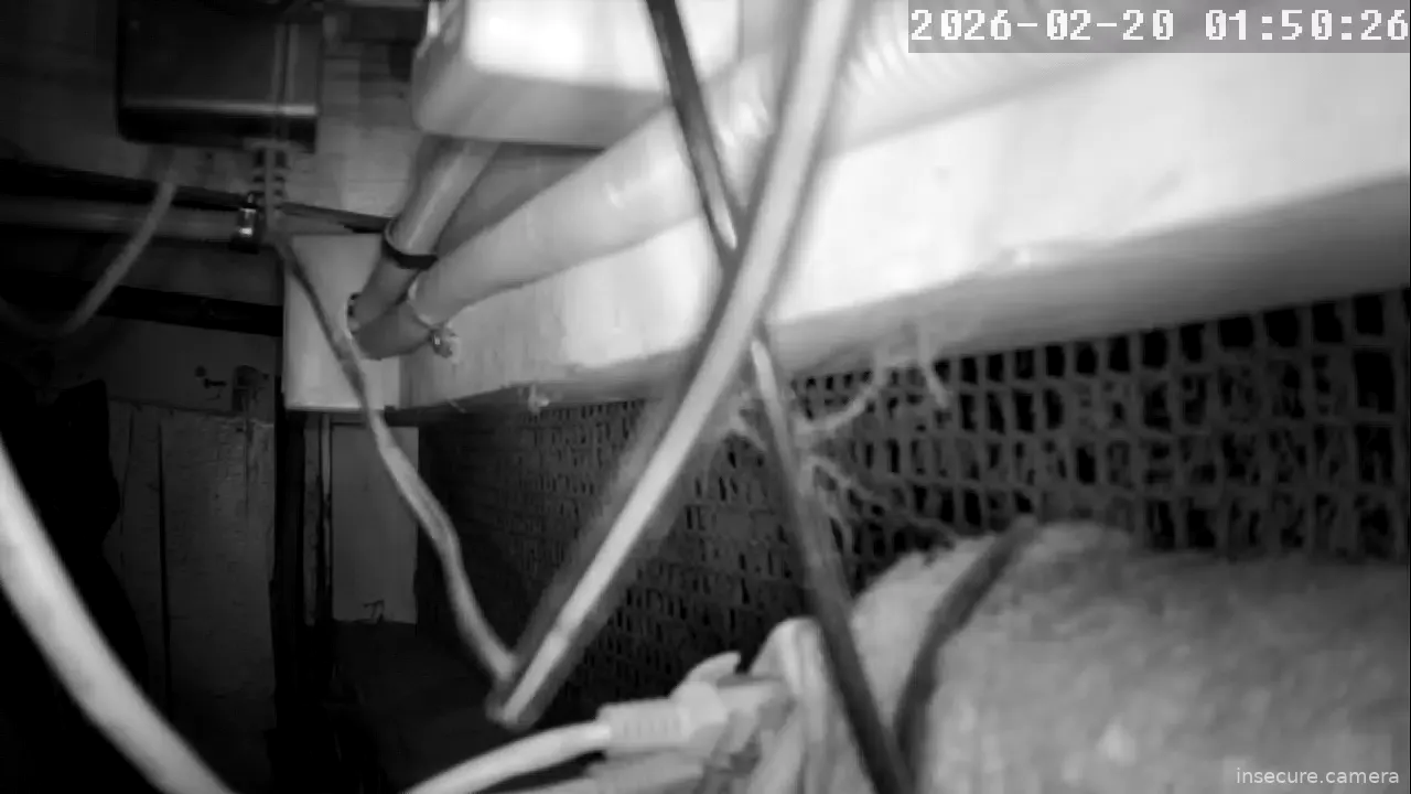 Capture from Feb 20, 2026 at 04:51 AM