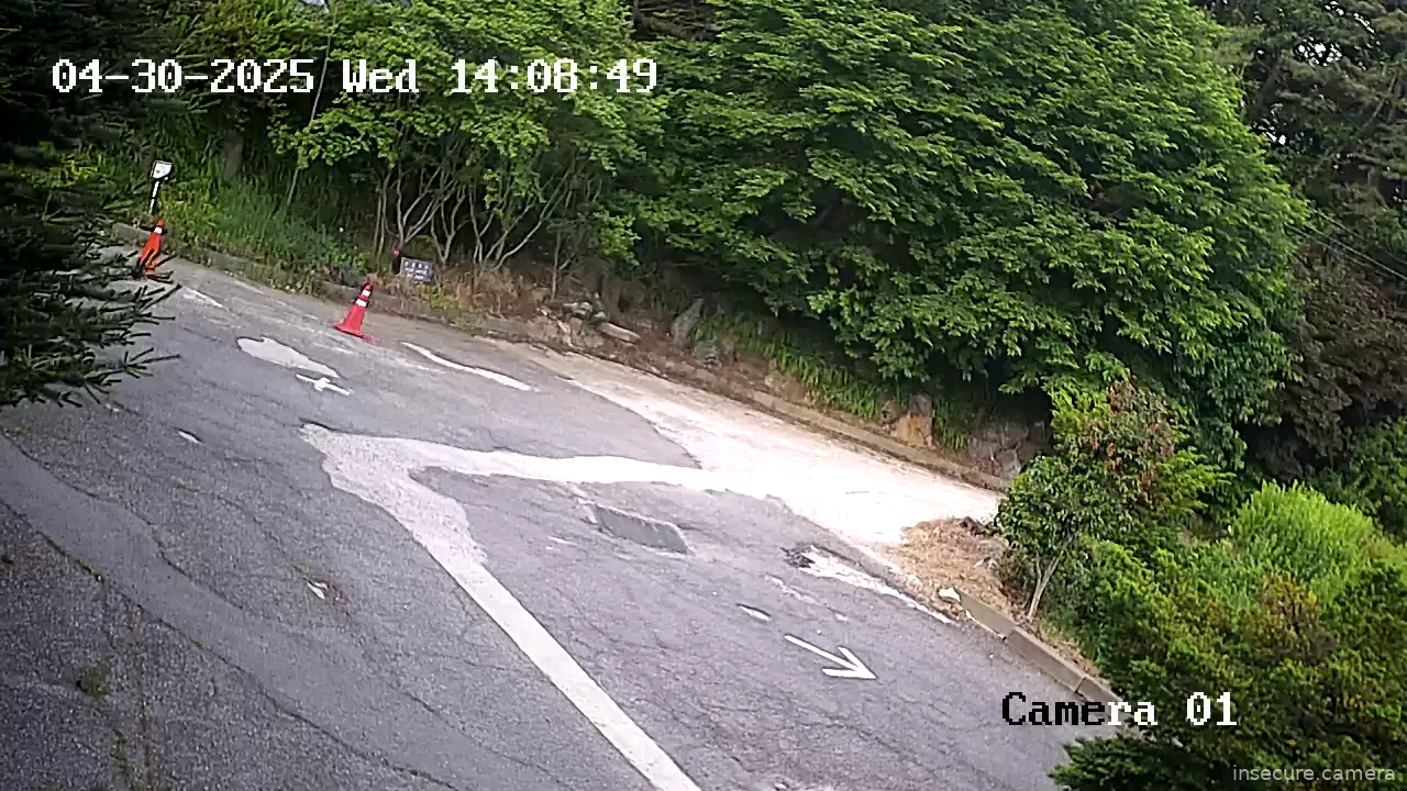 Camera in South Korea
