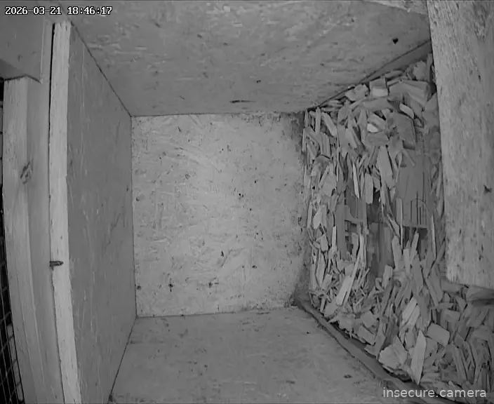 Capture from Mar 21, 2026 at 04:46 PM