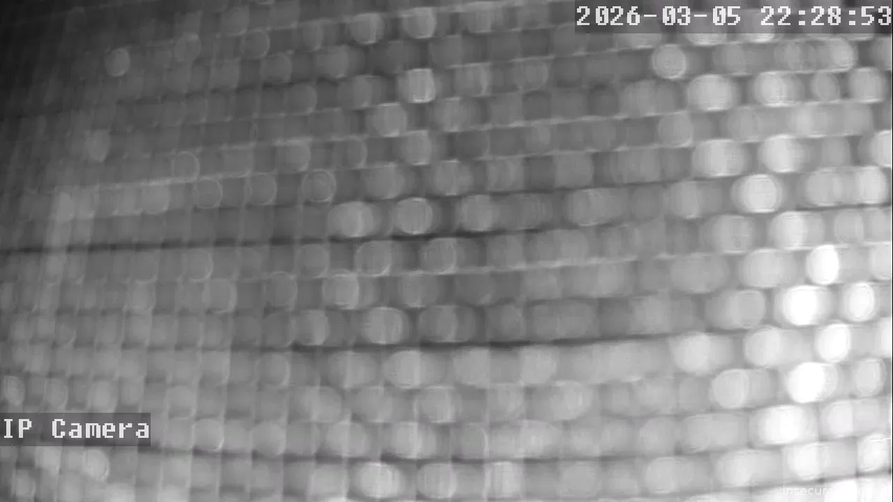 Capture from Mar 06, 2026 at 04:29 AM