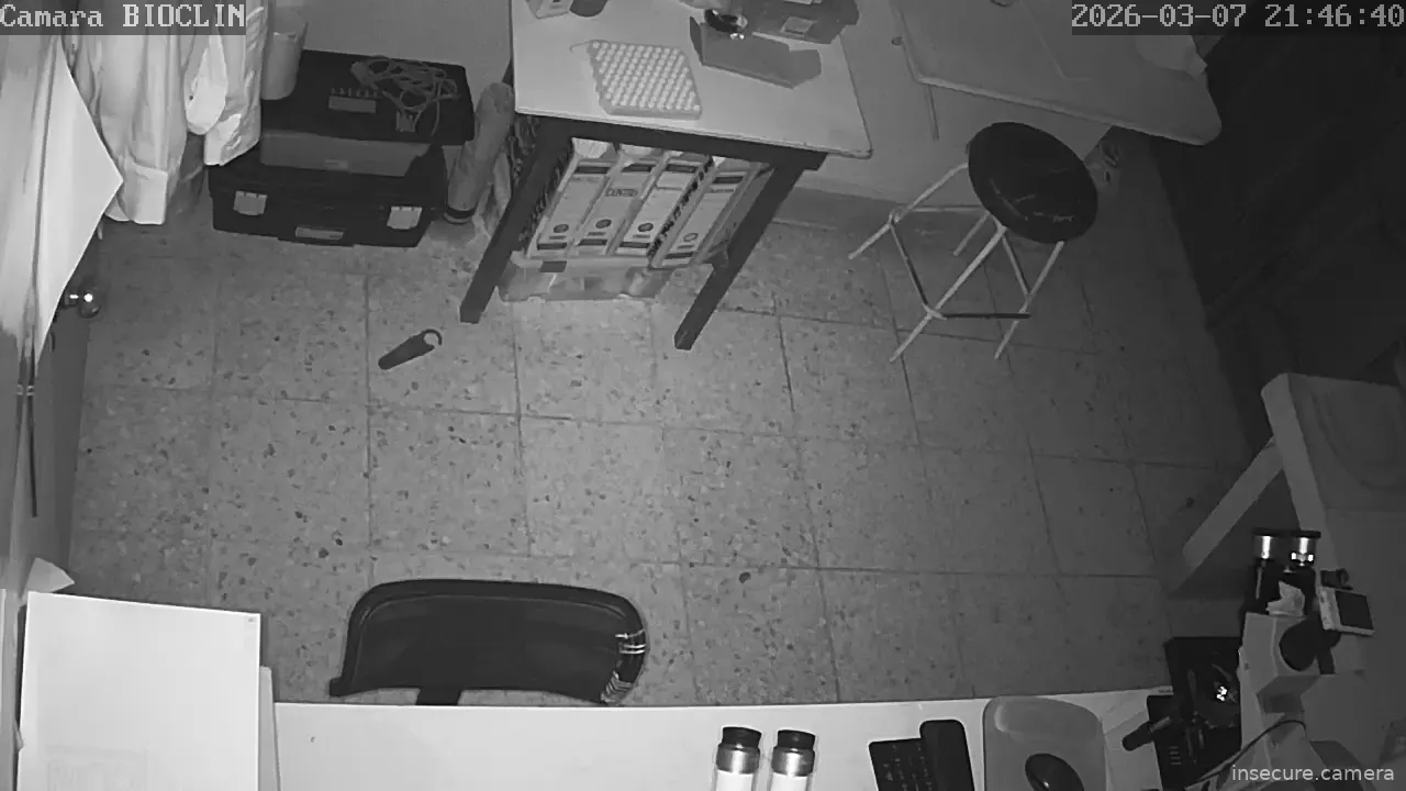 Capture from Mar 08, 2026 at 03:46 AM