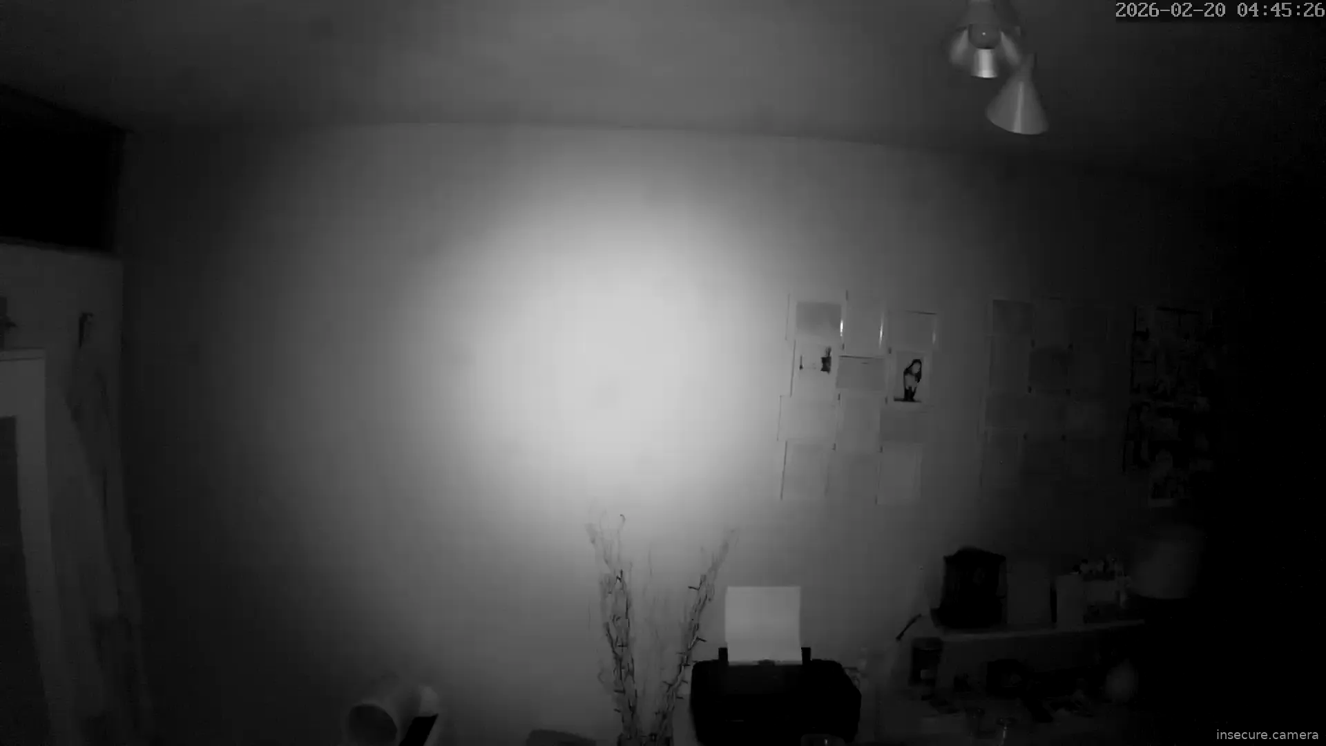 Capture from Feb 20, 2026 at 03:45 AM