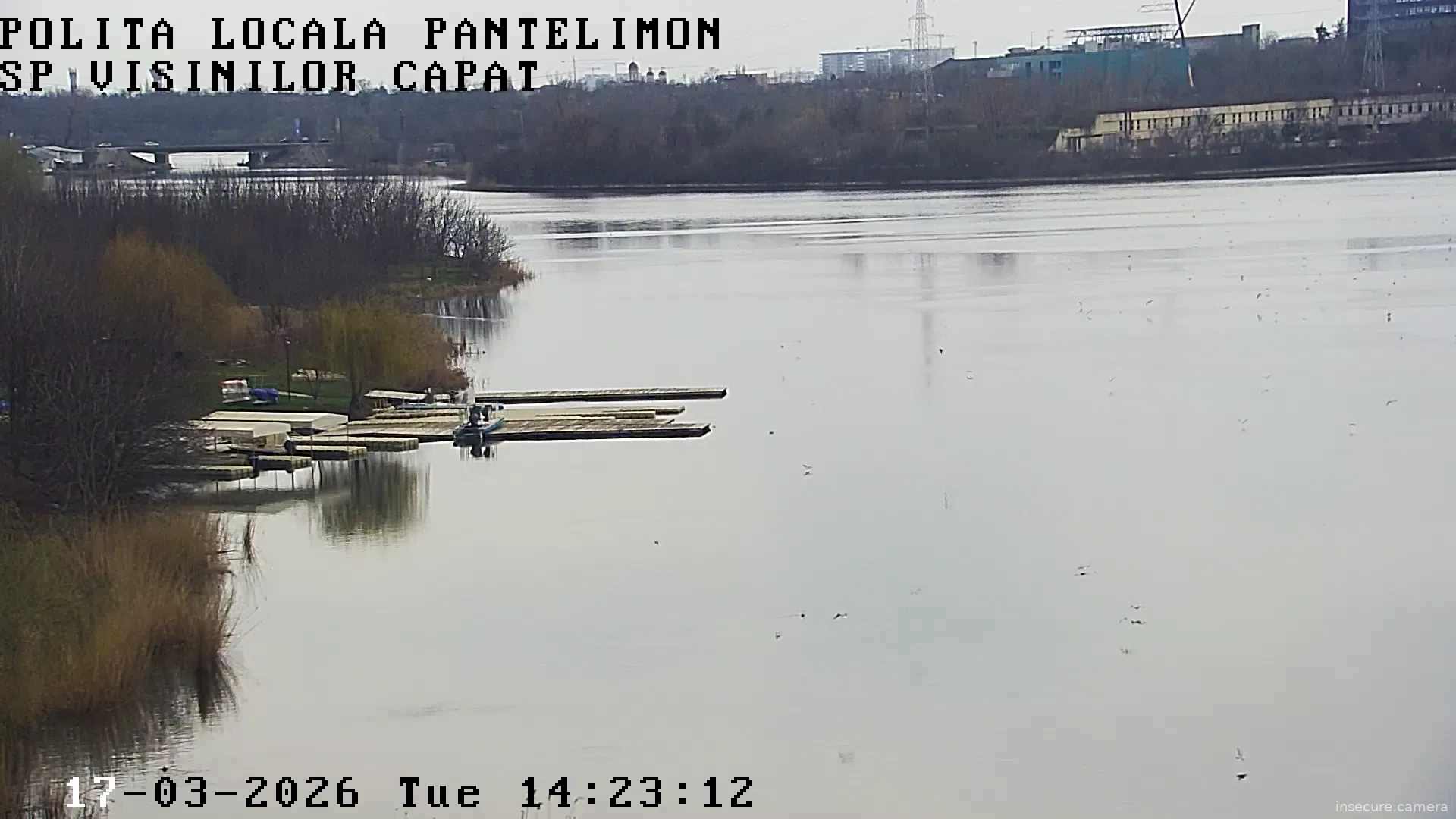 Capture from Mar 17, 2026 at 12:23 PM