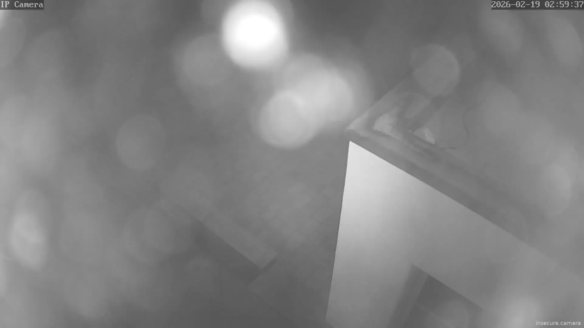 Capture from Feb 19, 2026 at 01:59 AM