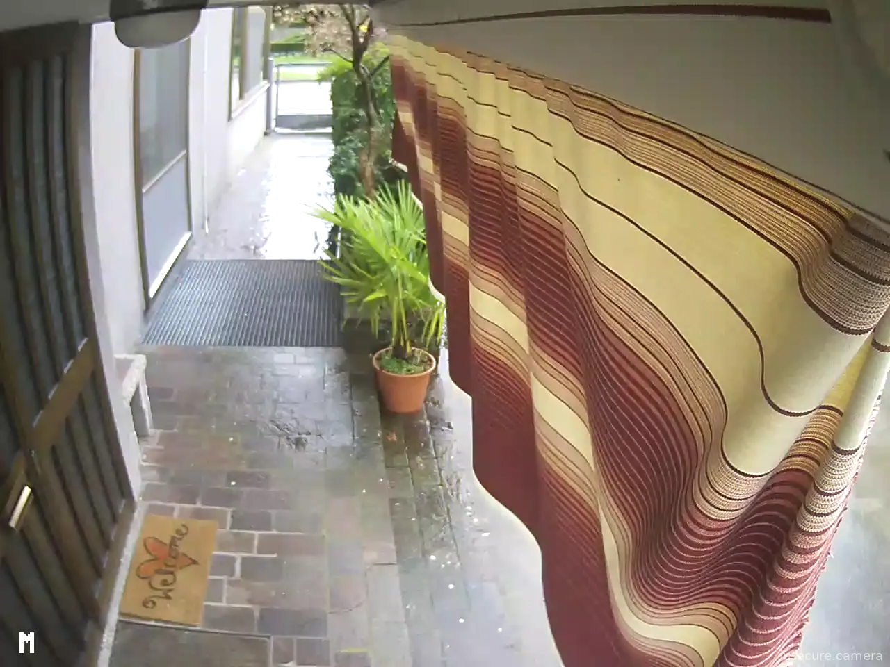 Capture from Feb 19, 2026 at 02:19 PM