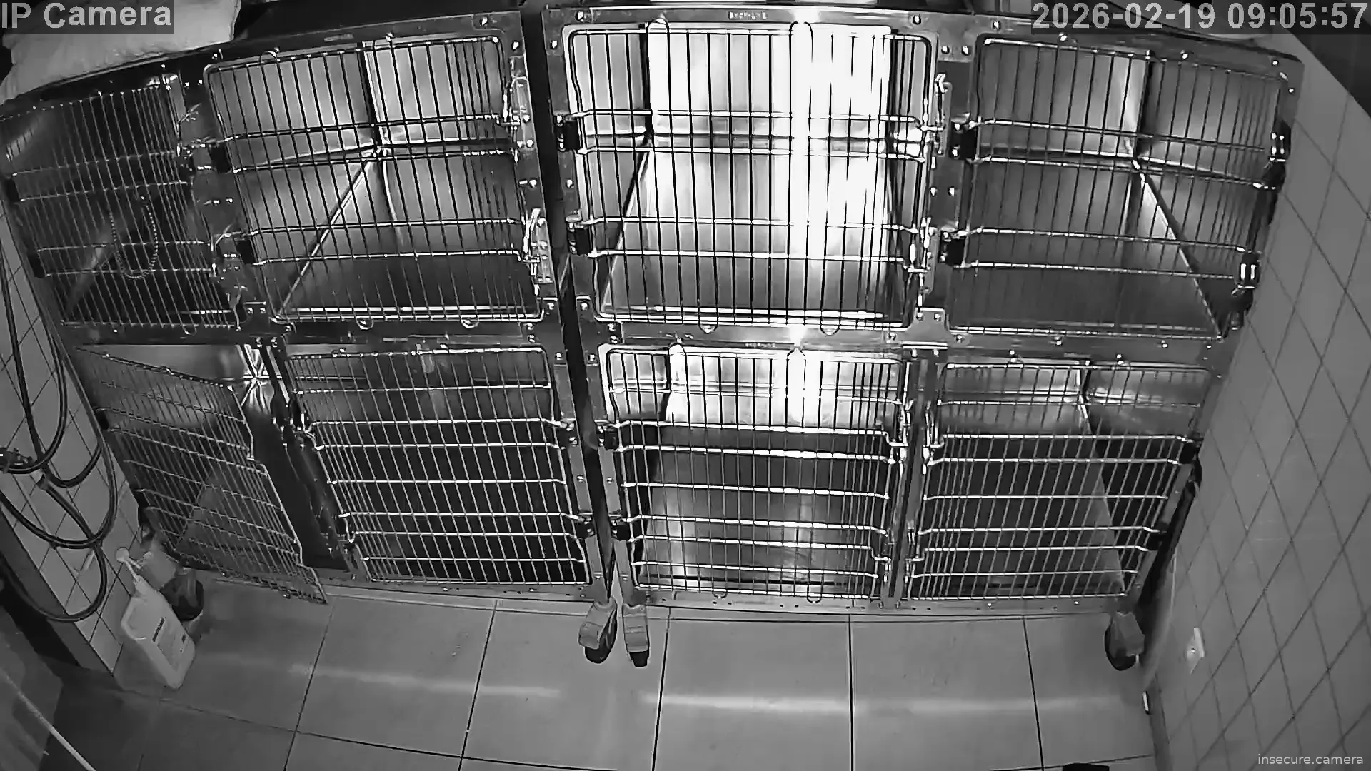 Capture from Feb 19, 2026 at 01:06 AM