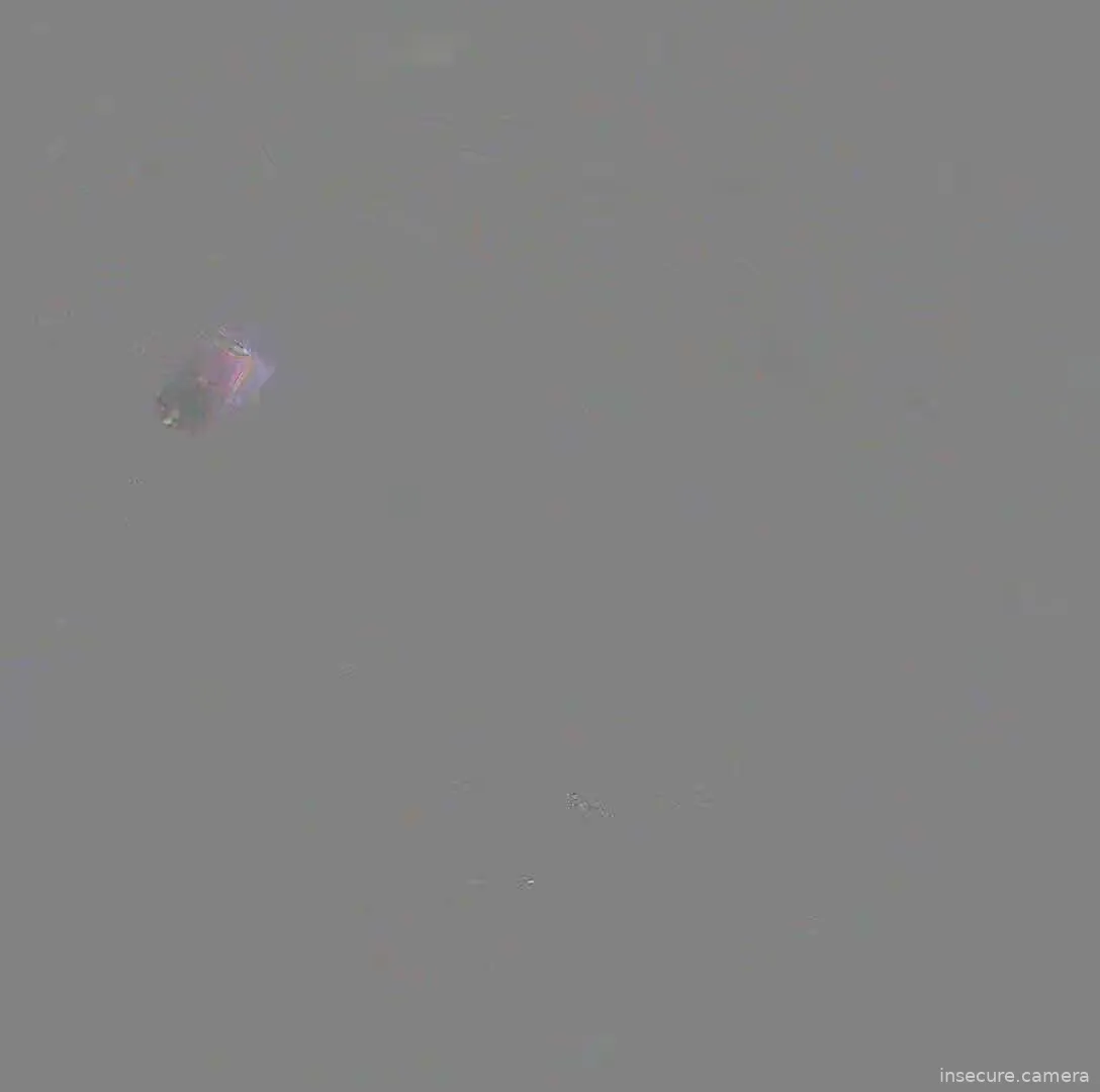 Capture from Mar 12, 2026 at 06:04 PM