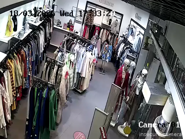 Camera in Russia