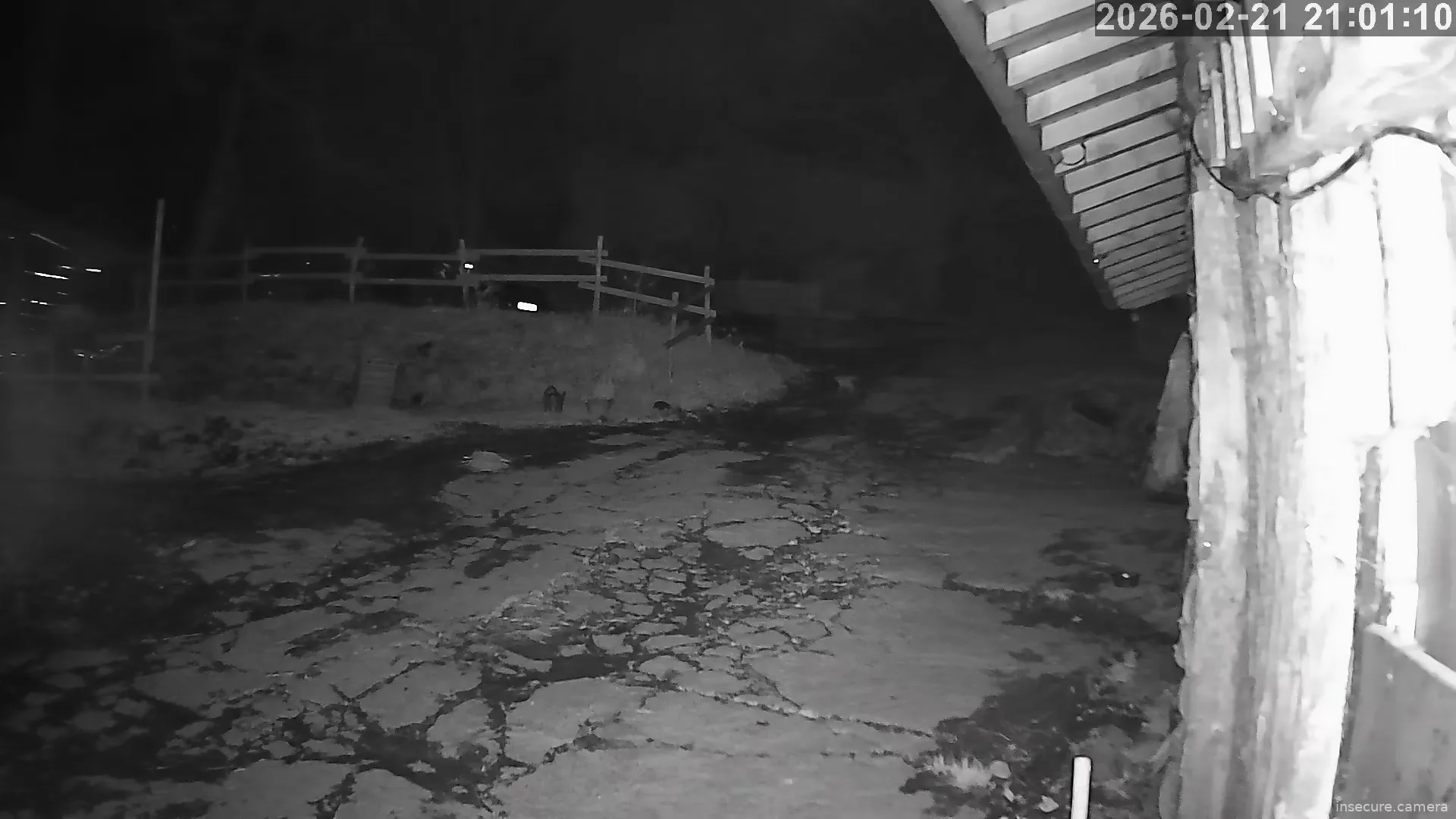 Capture from Feb 21, 2026 at 07:01 PM