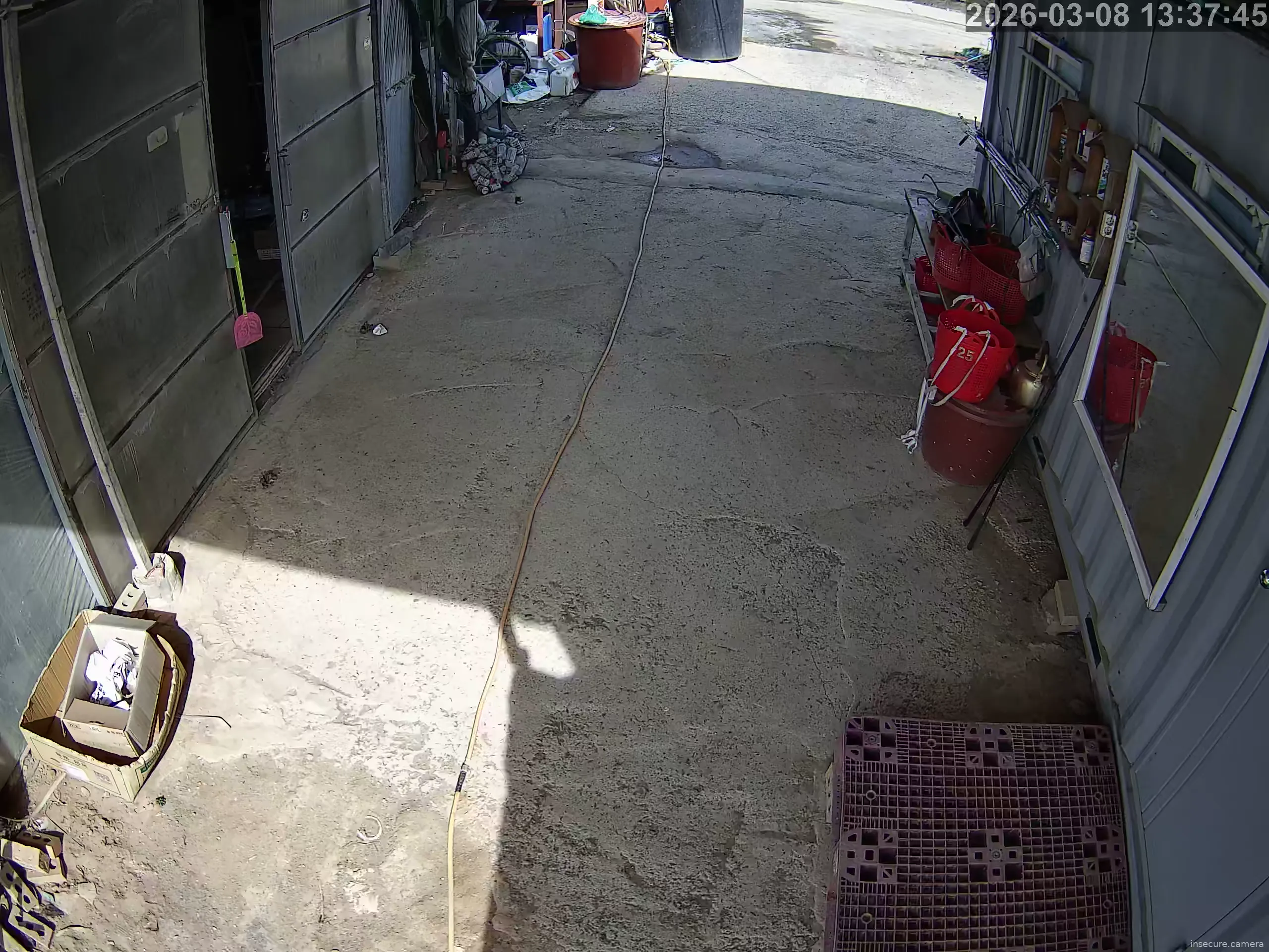 Camera in South Korea