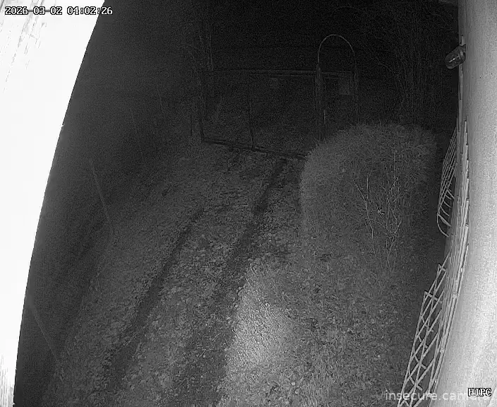 Capture from Mar 02, 2026 at 03:02 AM