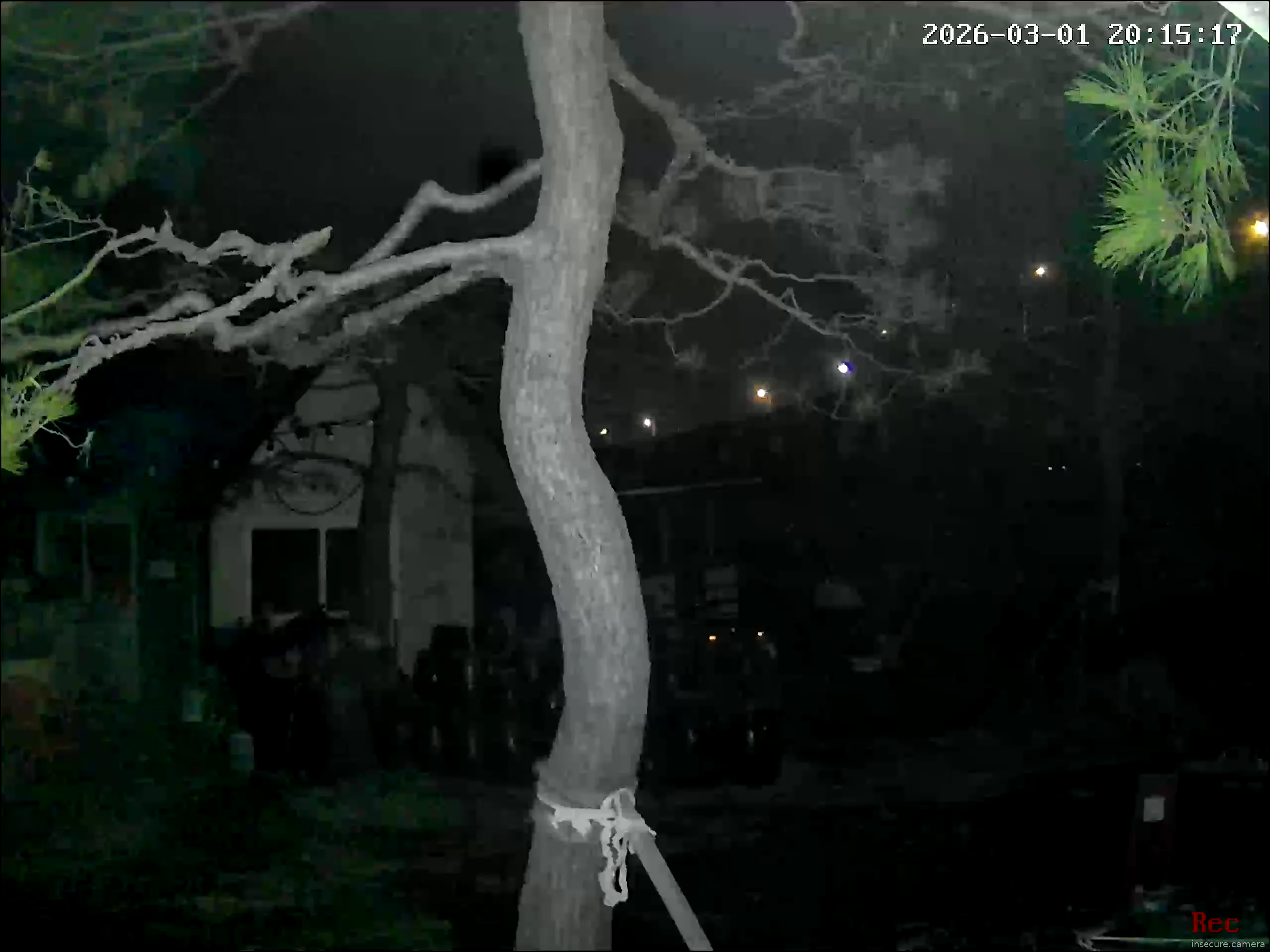 Camera in South Korea