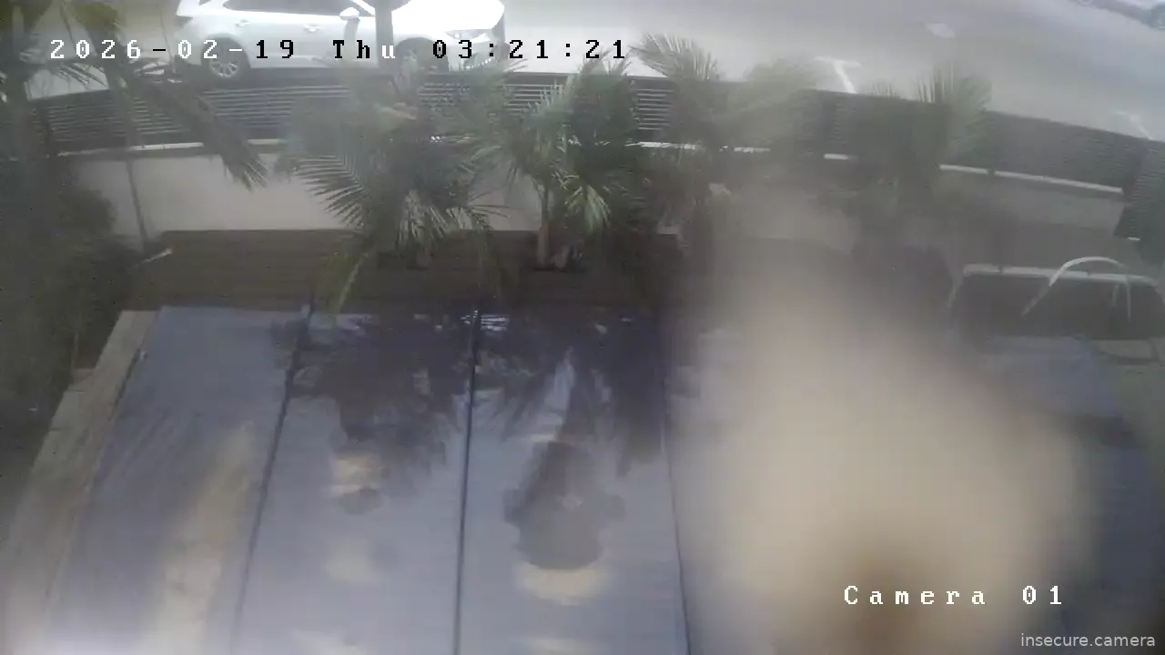 Capture from Feb 19, 2026 at 01:21 AM