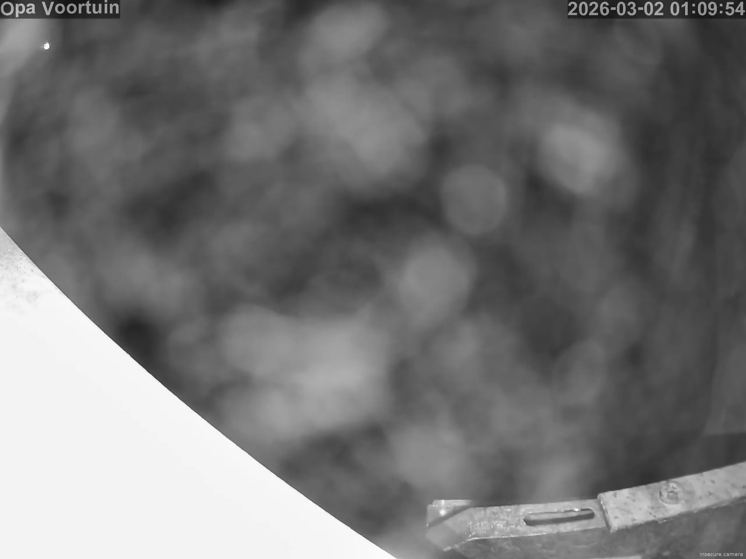 Capture from Mar 02, 2026 at 12:10 AM