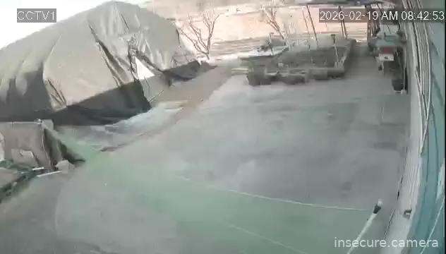 Capture from Feb 19, 2026 at 12:43 AM