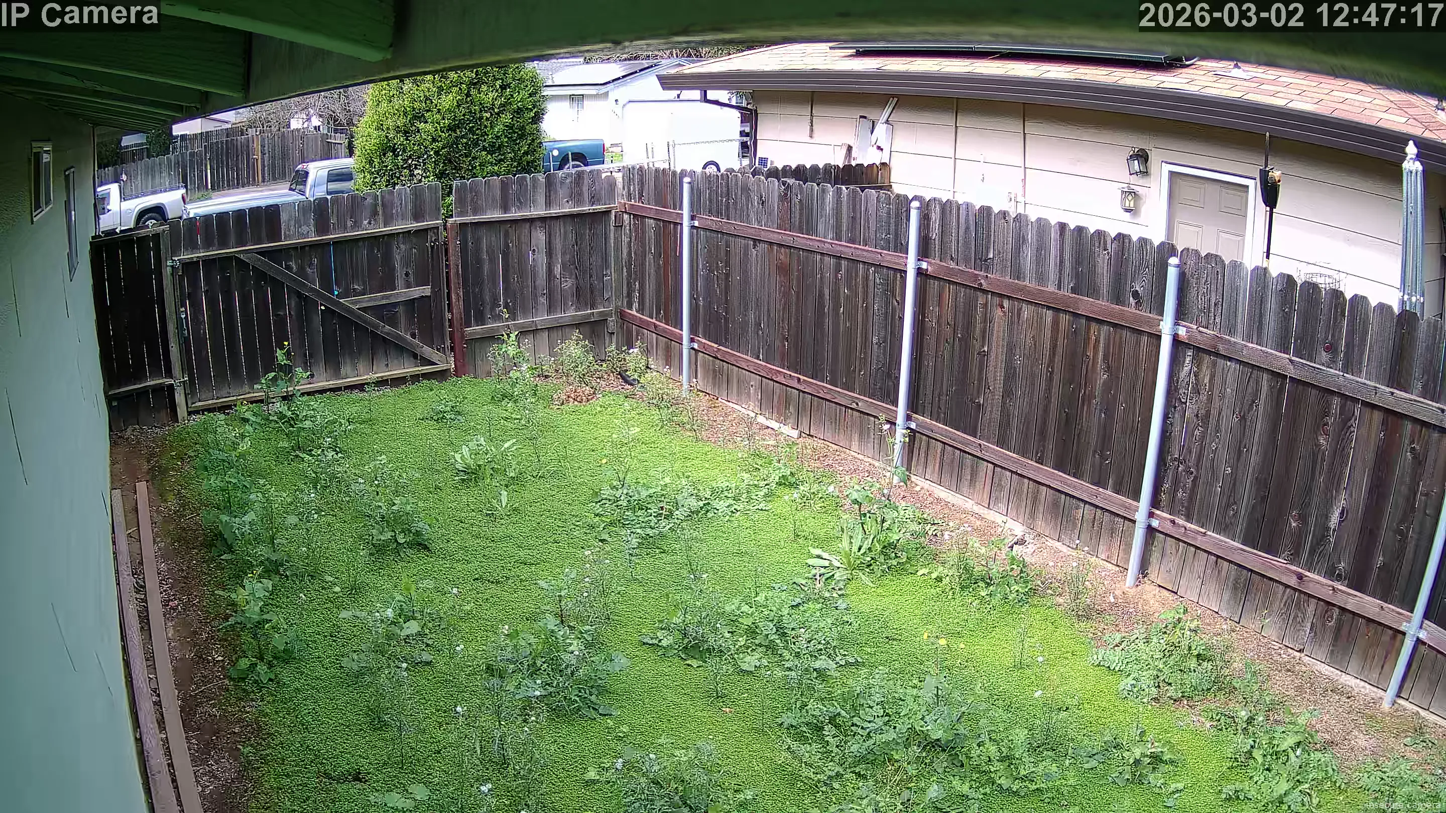 Capture from Mar 02, 2026 at 08:47 PM