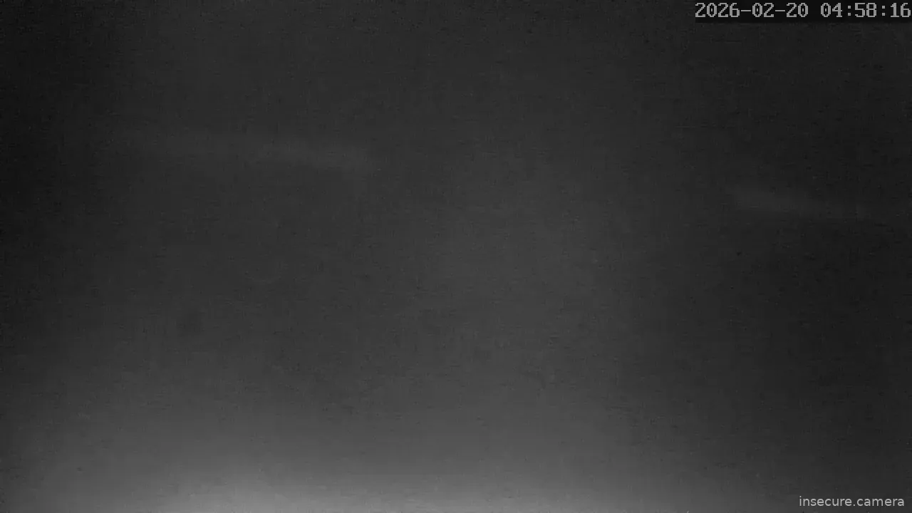 Capture from Feb 19, 2026 at 07:58 PM