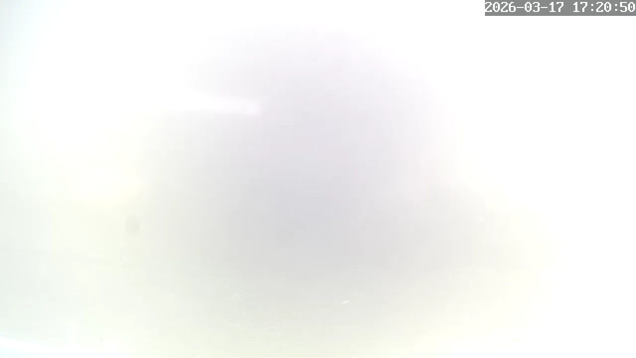 Camera in South Korea