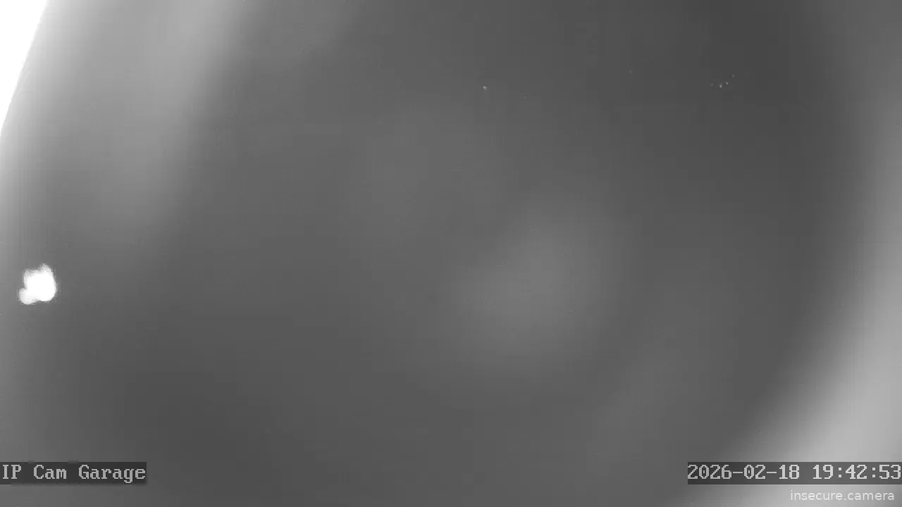 Capture from Feb 19, 2026 at 12:43 AM