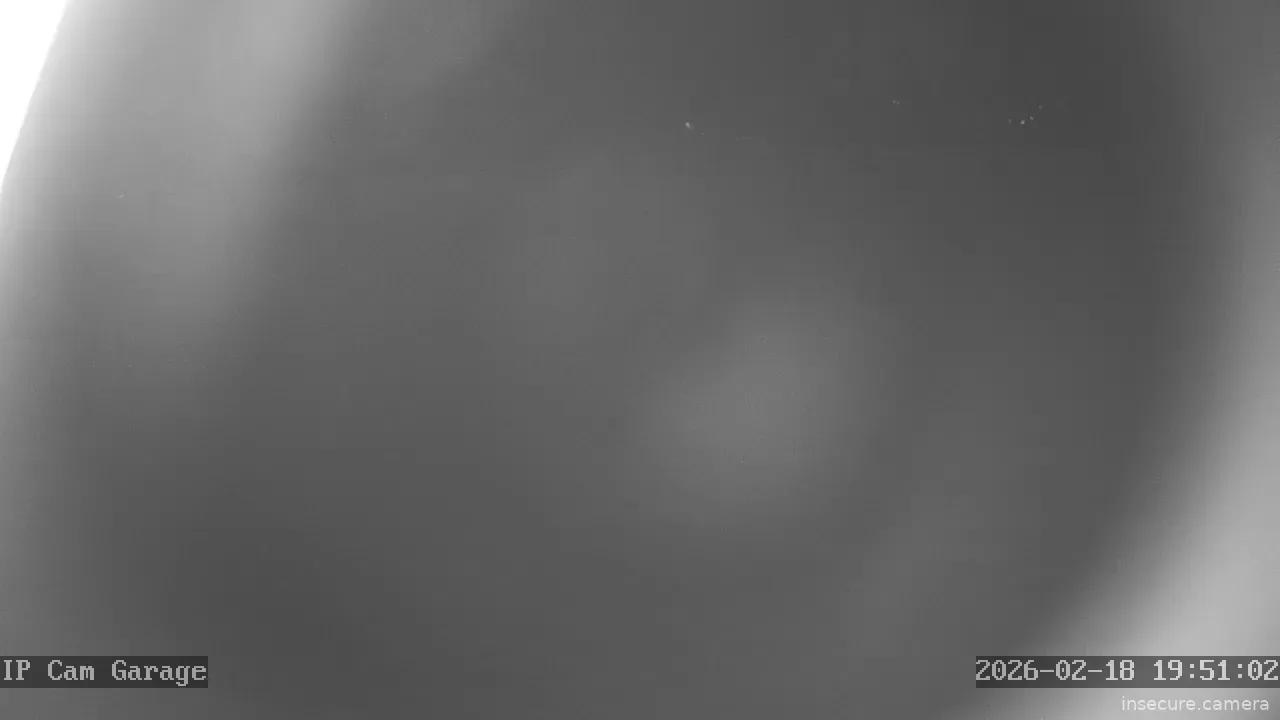 Capture from Feb 19, 2026 at 12:51 AM