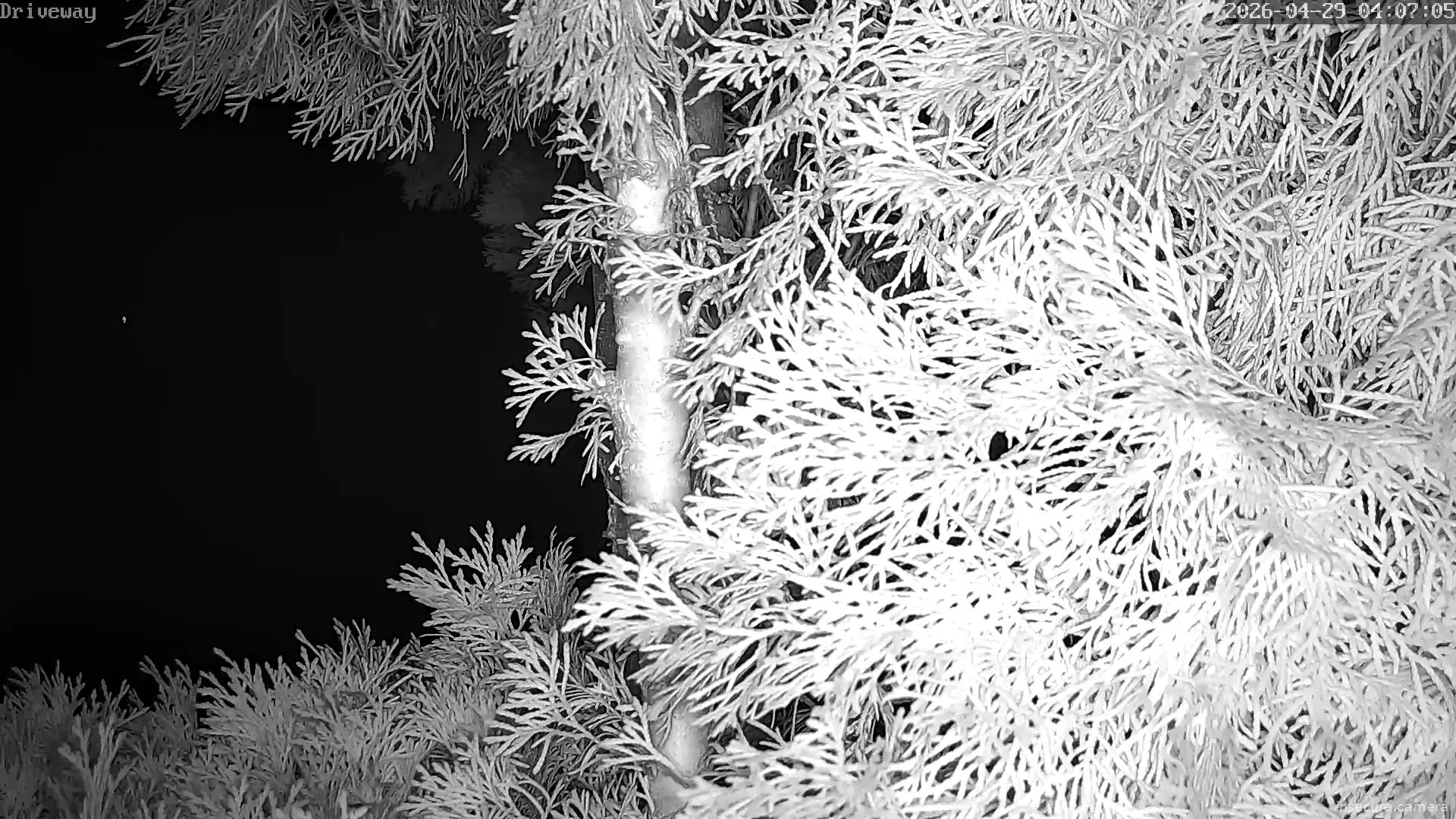 Camera in United States