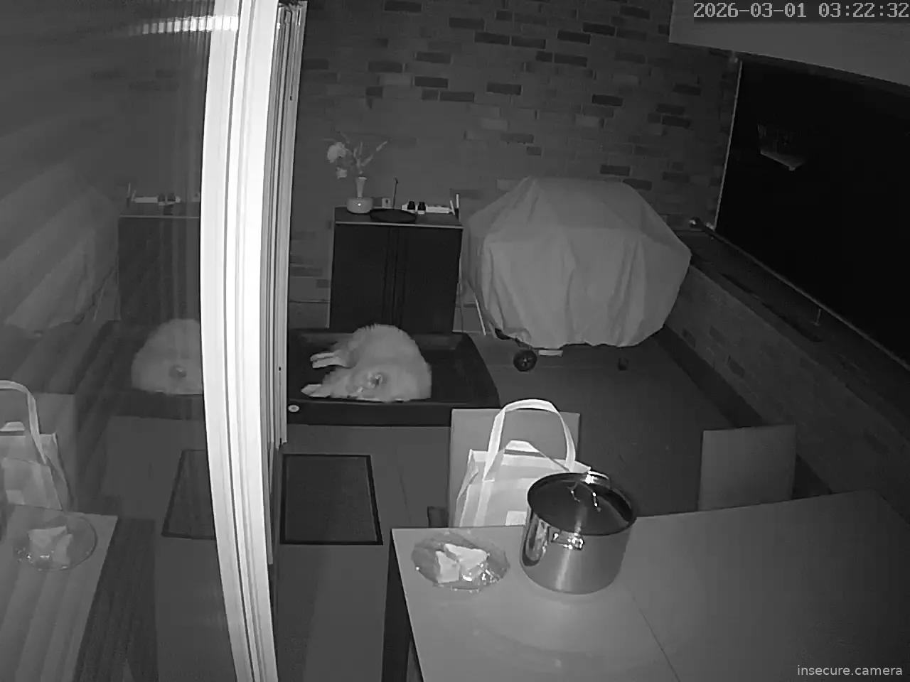 Capture from Mar 01, 2026 at 02:22 AM