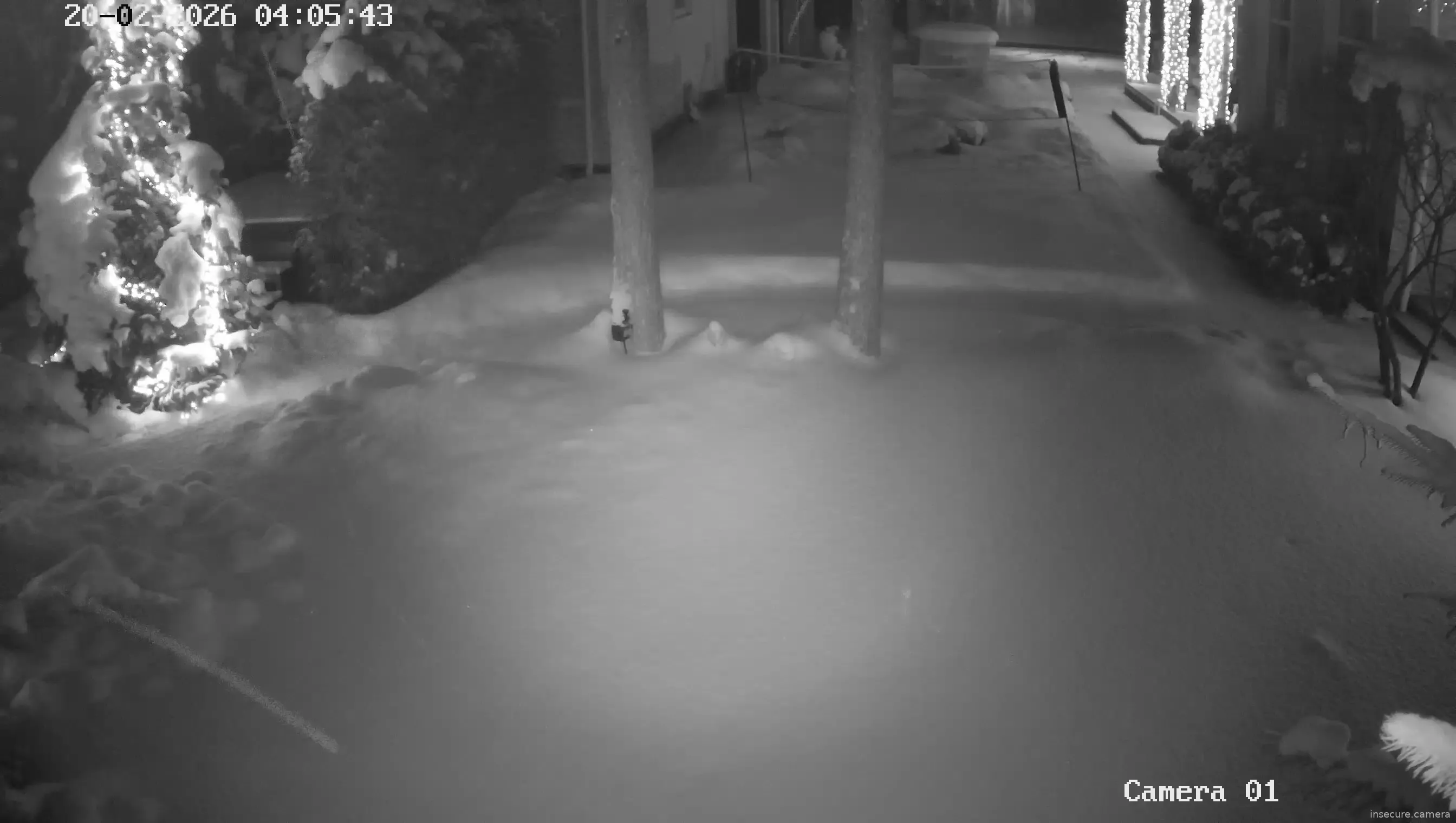 Capture from Feb 20, 2026 at 01:06 AM