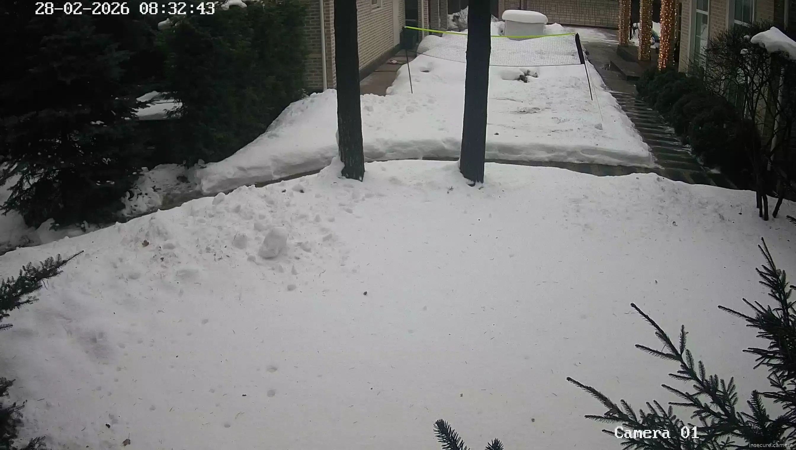 Capture from Feb 28, 2026 at 05:33 AM