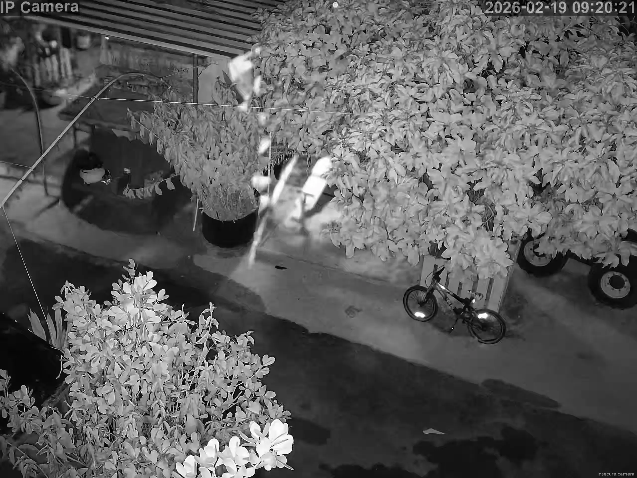 Capture from Feb 19, 2026 at 01:20 AM