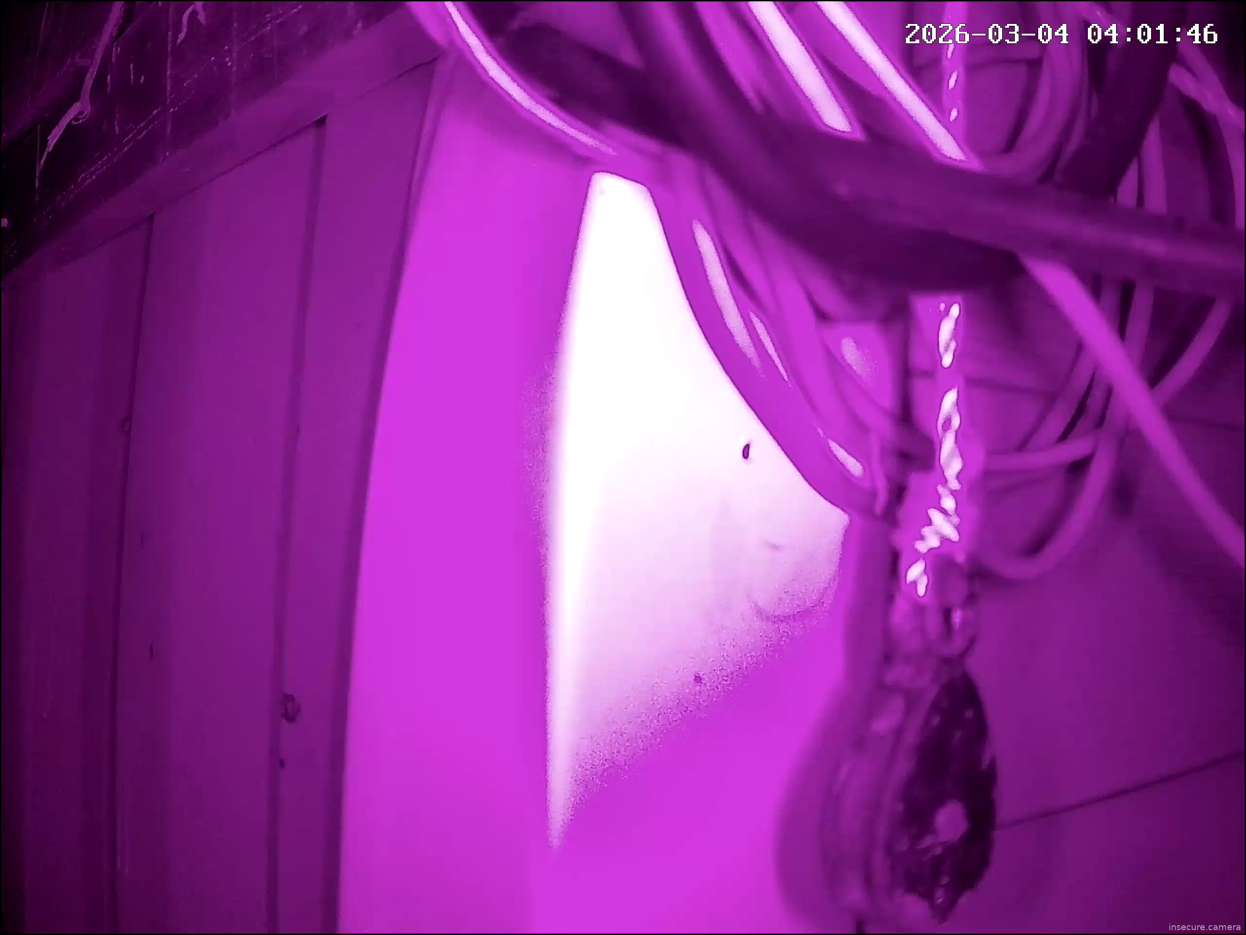 Camera in South Korea