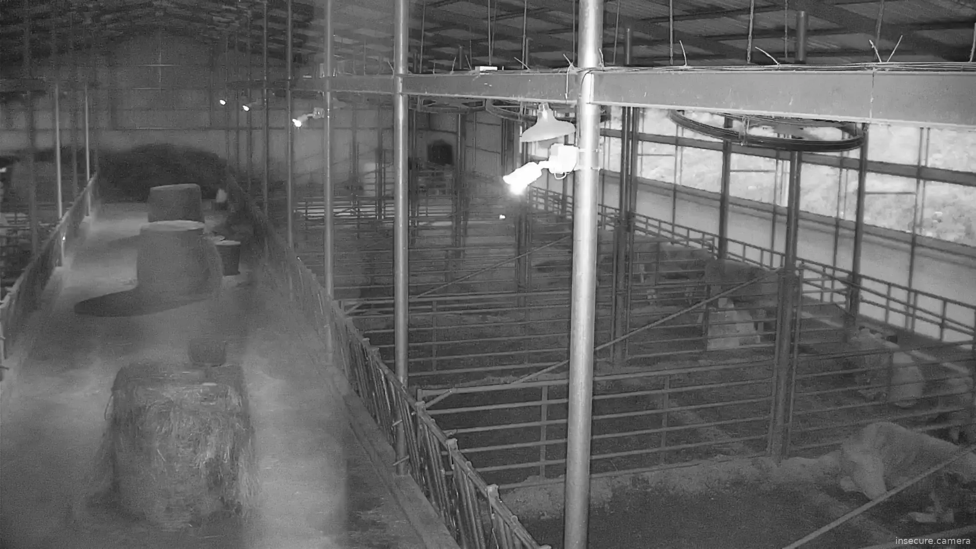 Capture from May 01, 2026 at 08:25 PM