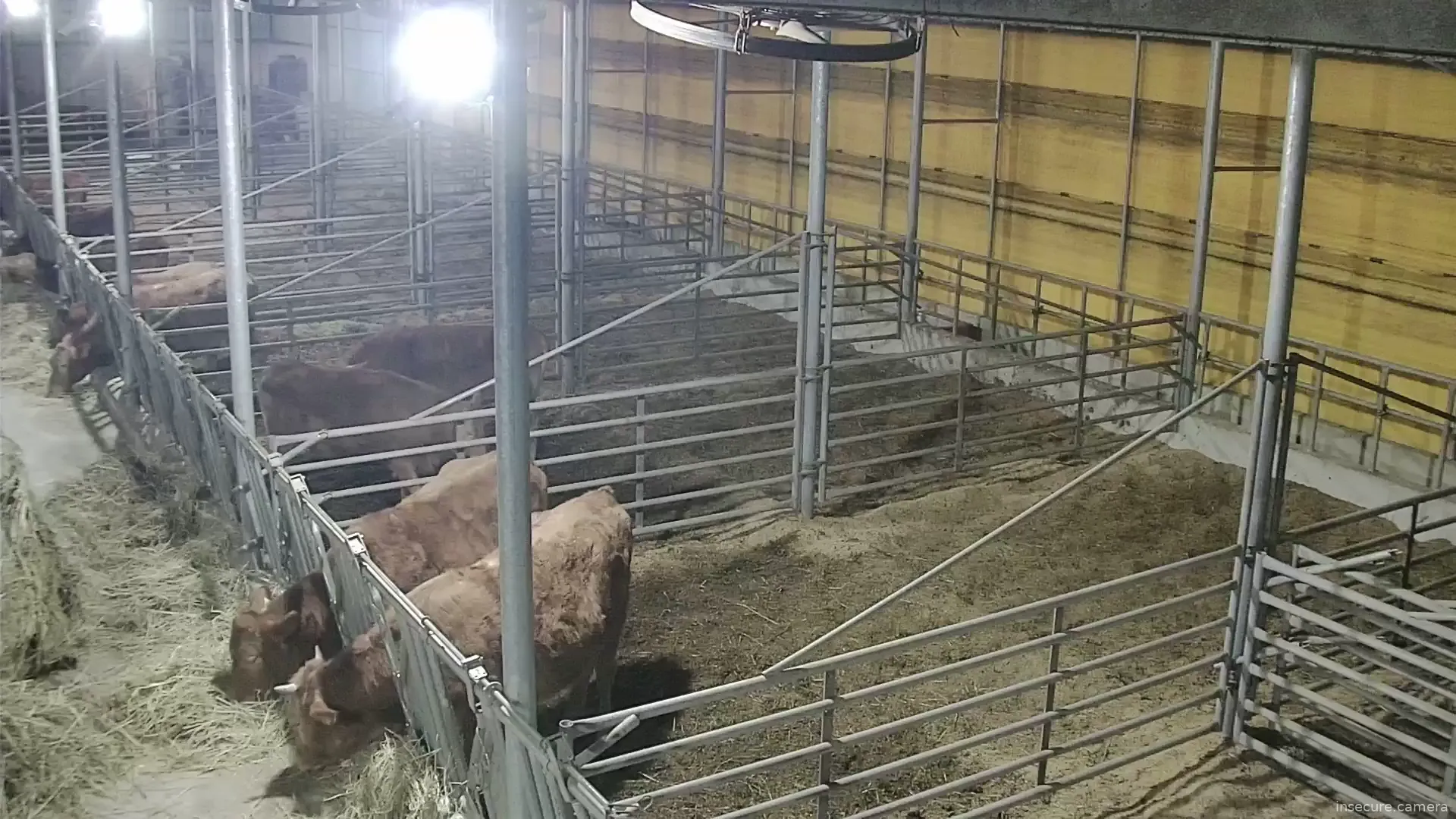 Capture from Mar 04, 2026 at 09:43 AM