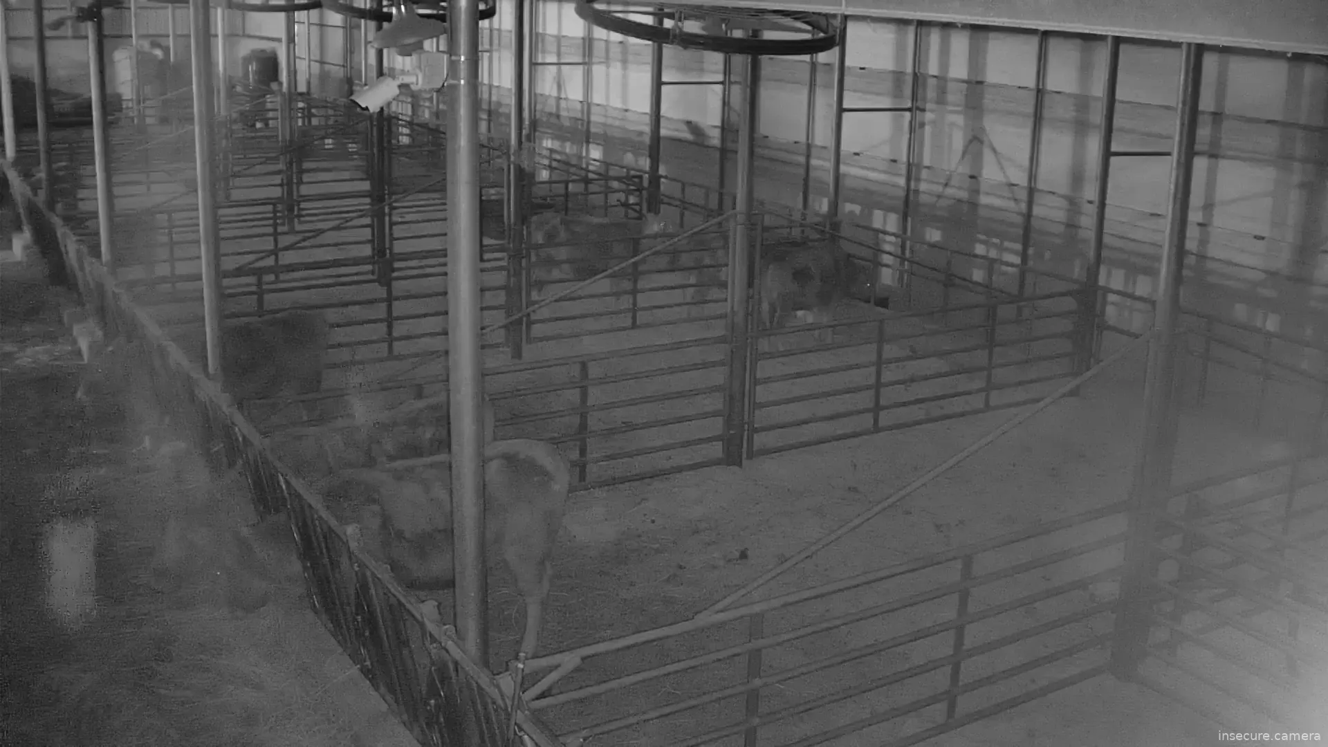 Capture from Feb 19, 2026 at 09:55 AM