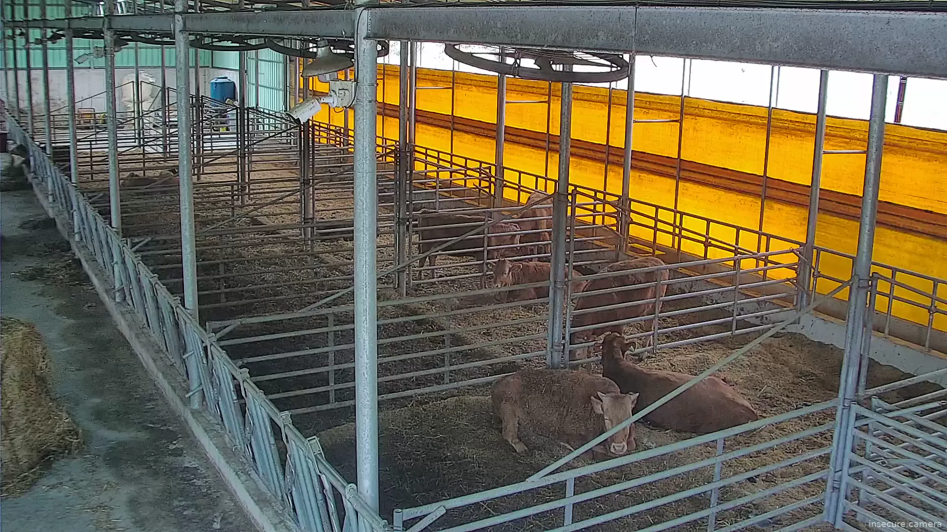 Camera in South Korea