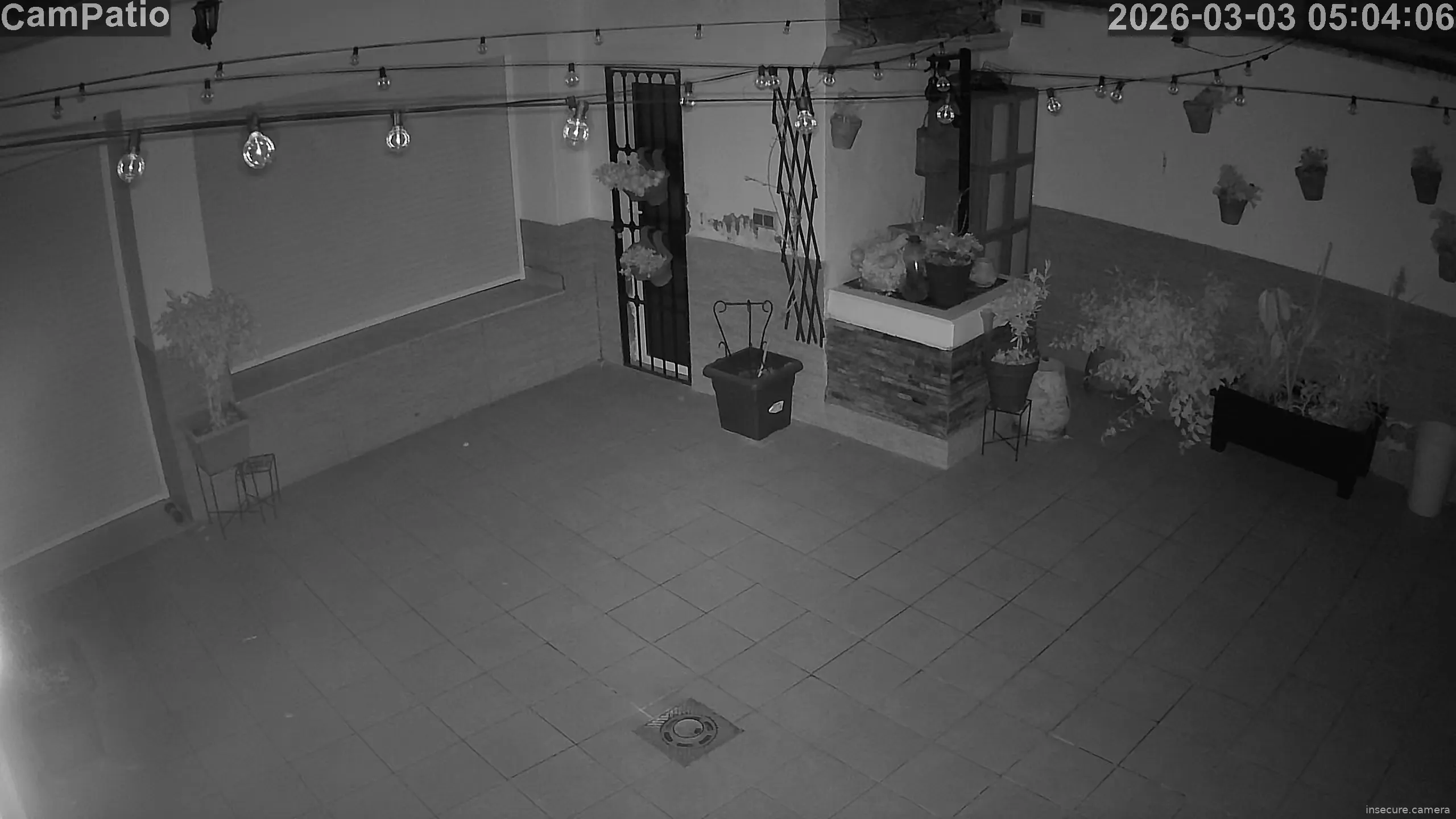 Capture from Mar 03, 2026 at 05:04 AM