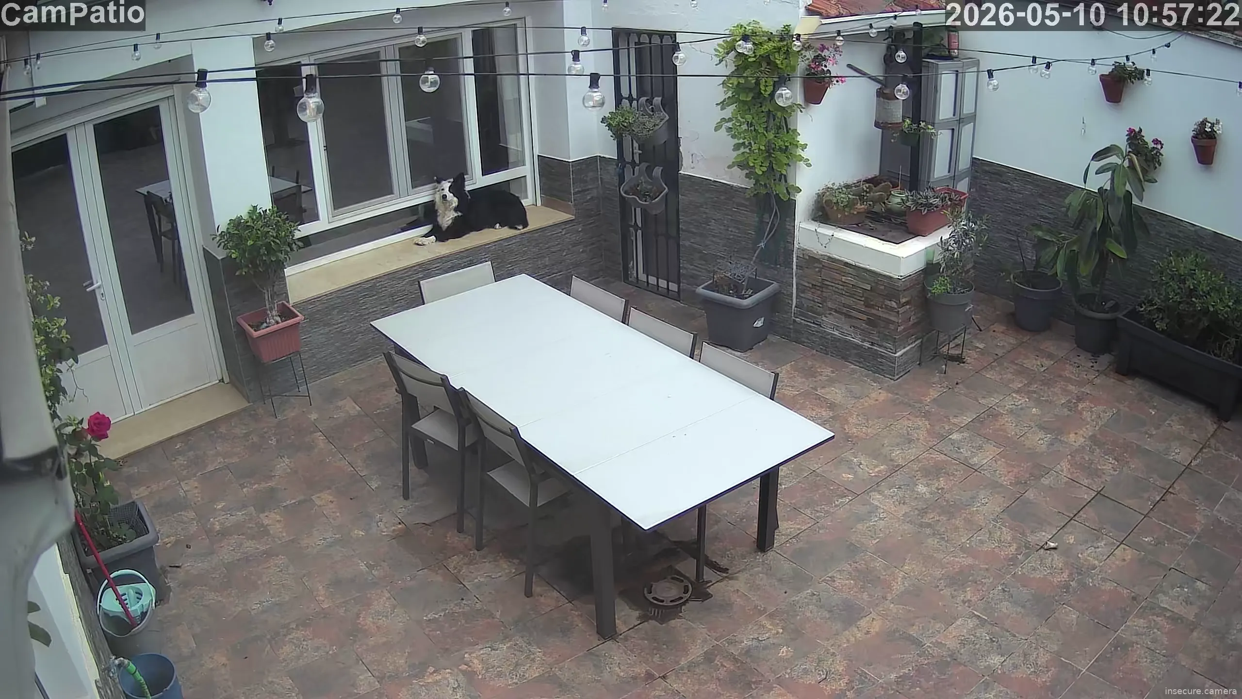 Capture from May 10, 2026 at 09:58 AM