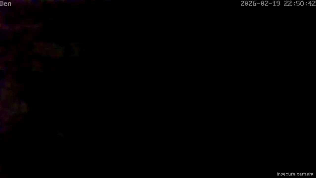 Capture from Feb 20, 2026 at 03:51 AM