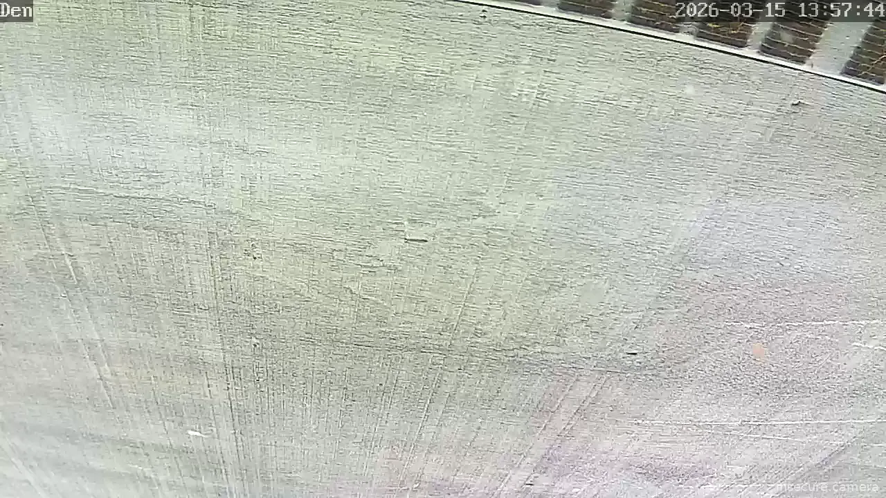 Camera in United States