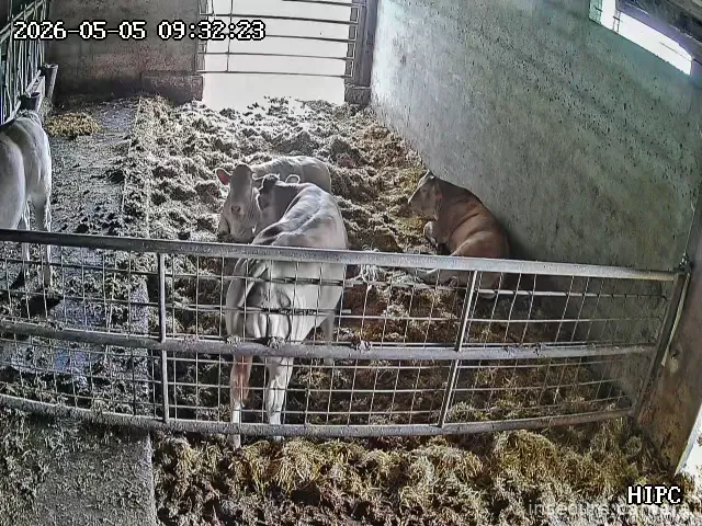 Camera in Spain