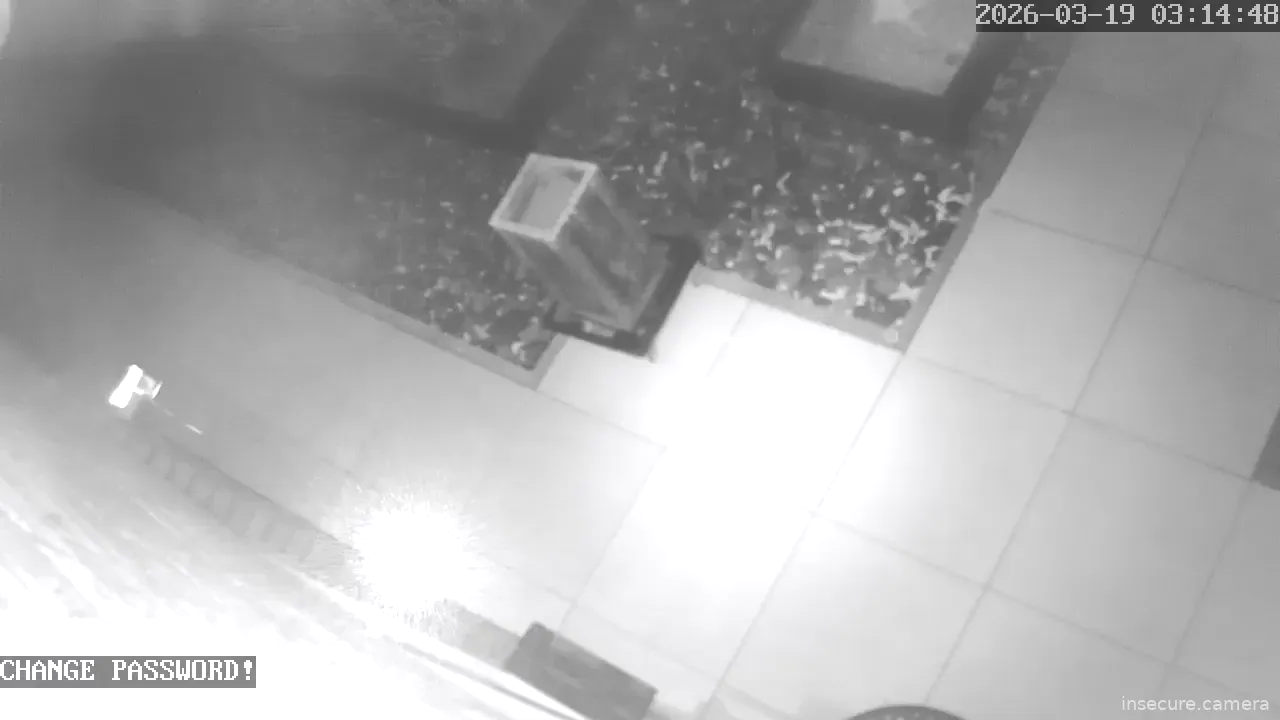 Capture from Mar 19, 2026 at 02:15 AM